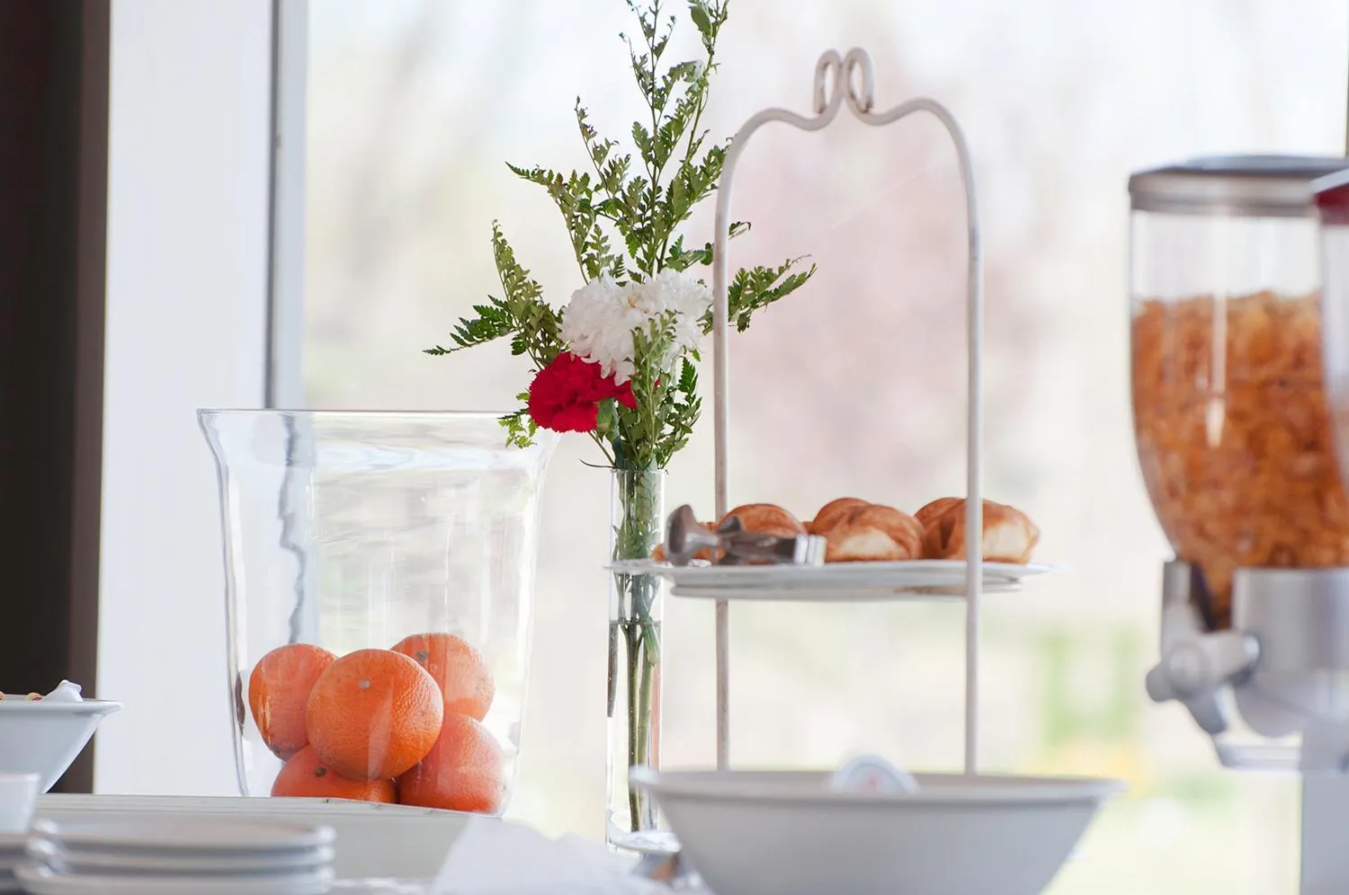 Food and drinks in Herradura Hotel Suites