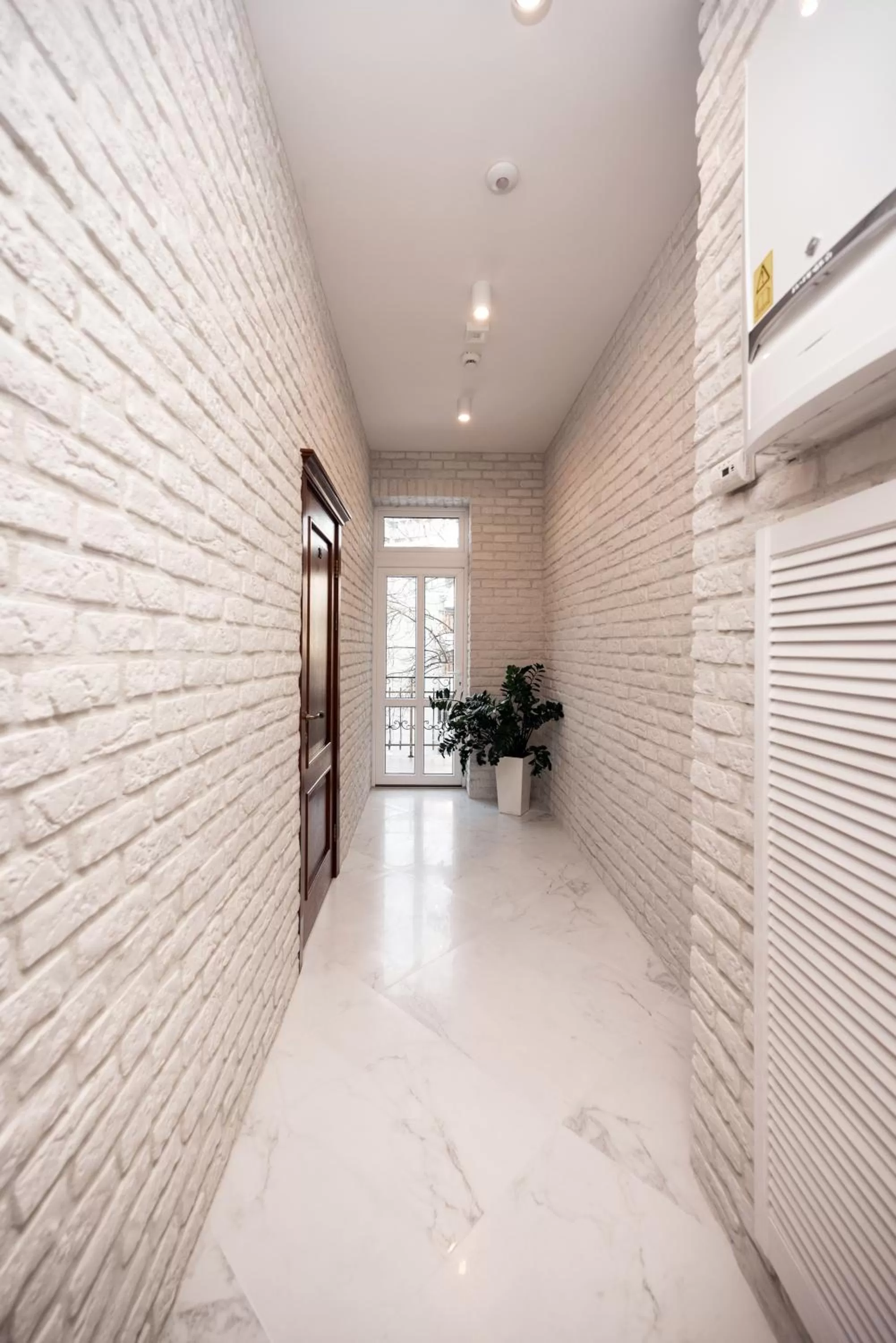 Windsurfing in Hive Family House