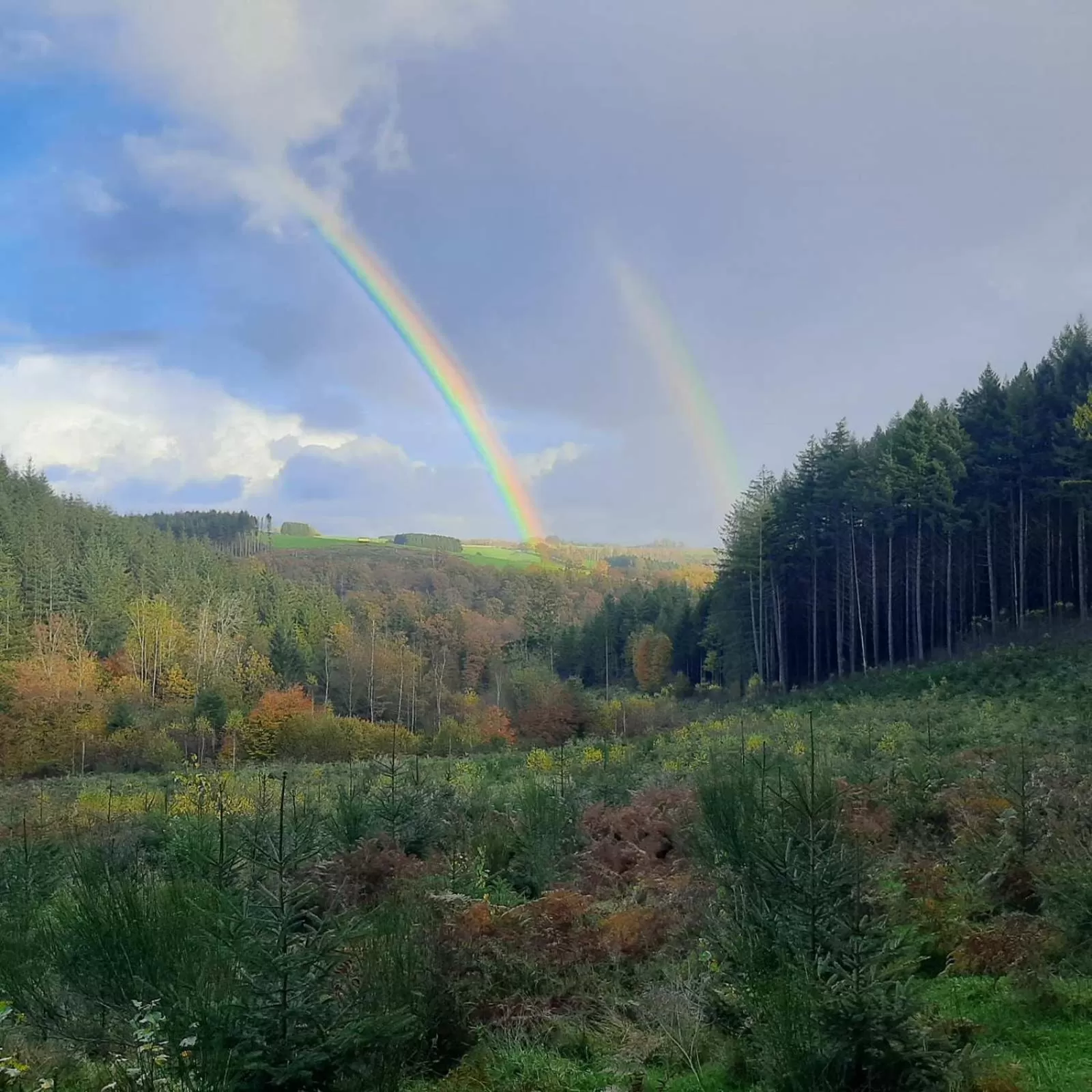 Off site in Golden Lion