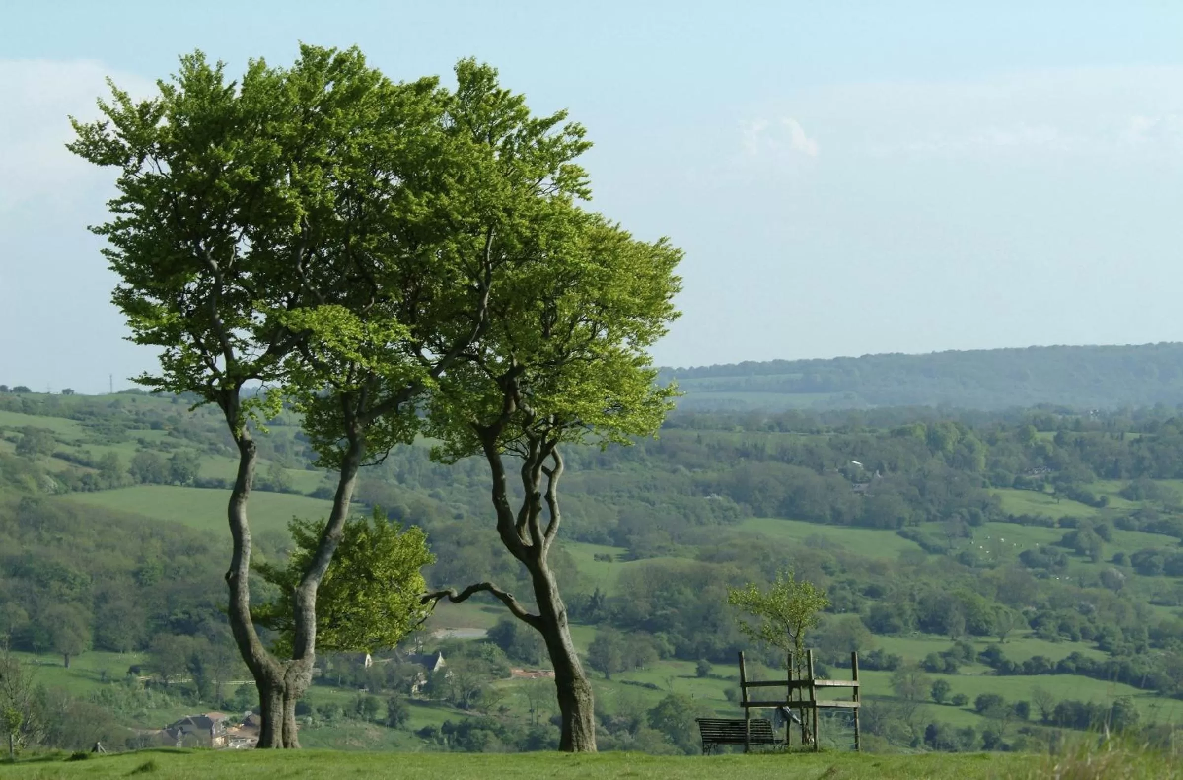Neighbourhood in Three Ways House Hotel
