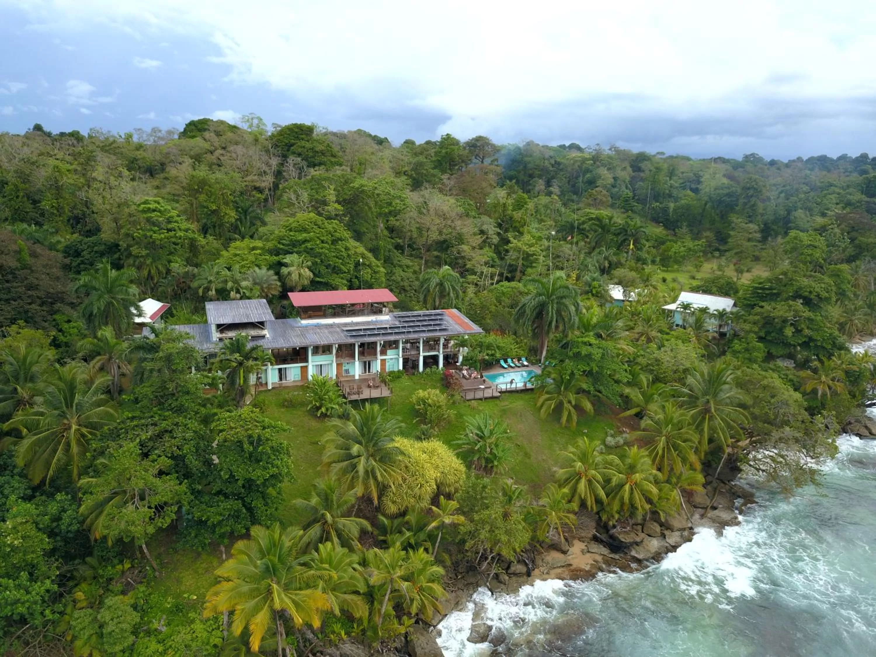 Bird's eye view, Bird's-eye View in Bird Island Bungalows