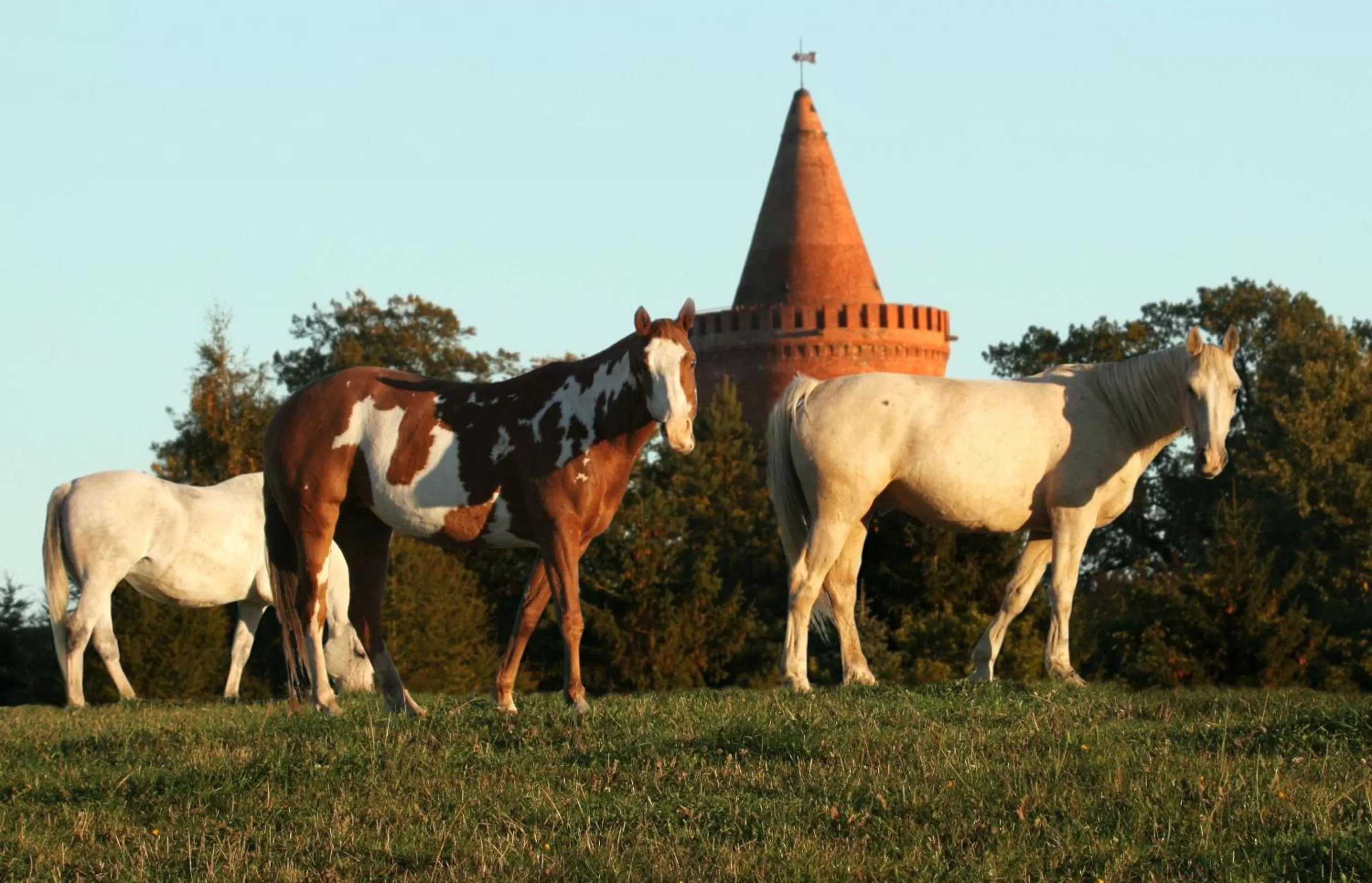 Staff in Hotel Zur Burg GmbH