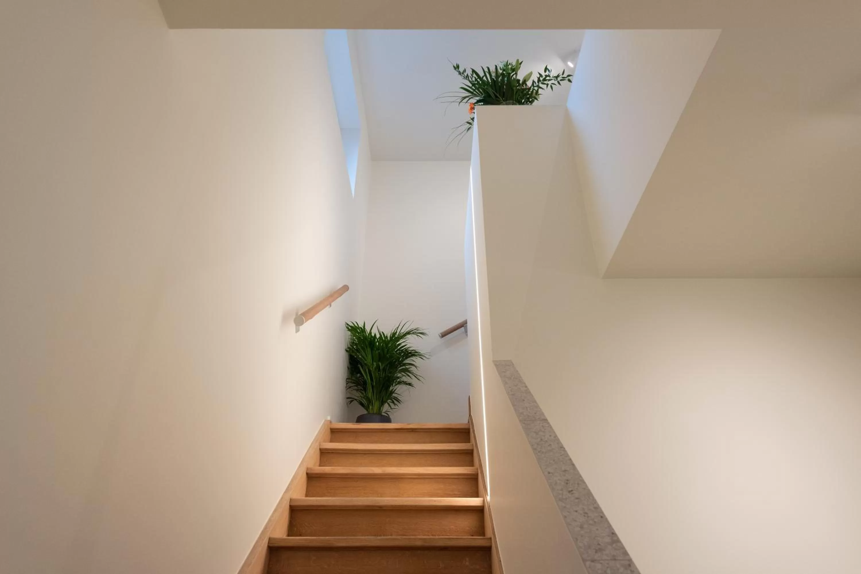 View (from property/room) in Gepetto's - Beautiful stay in the Historic centre of Ghent -