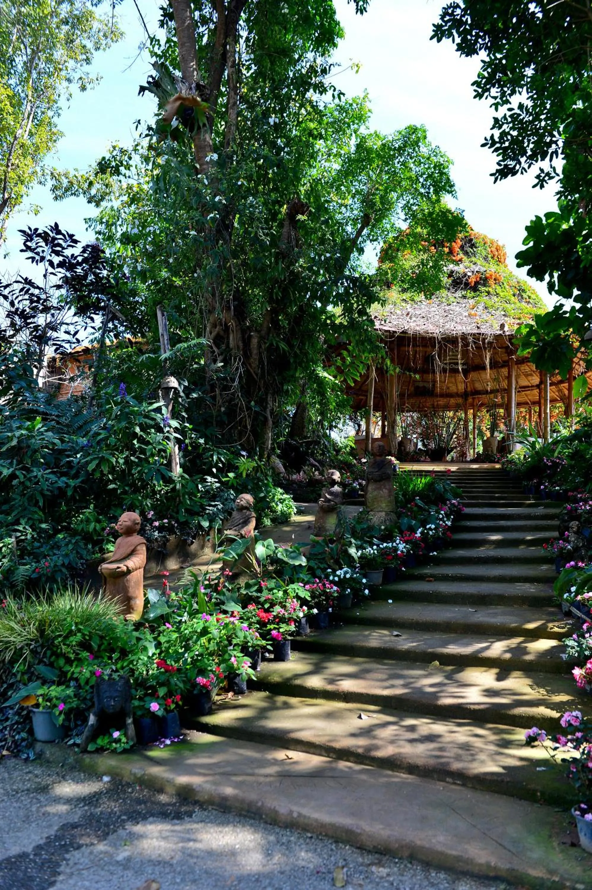 Lobby or reception in Phu Chaisai Chiang Rai Mountain Resort
