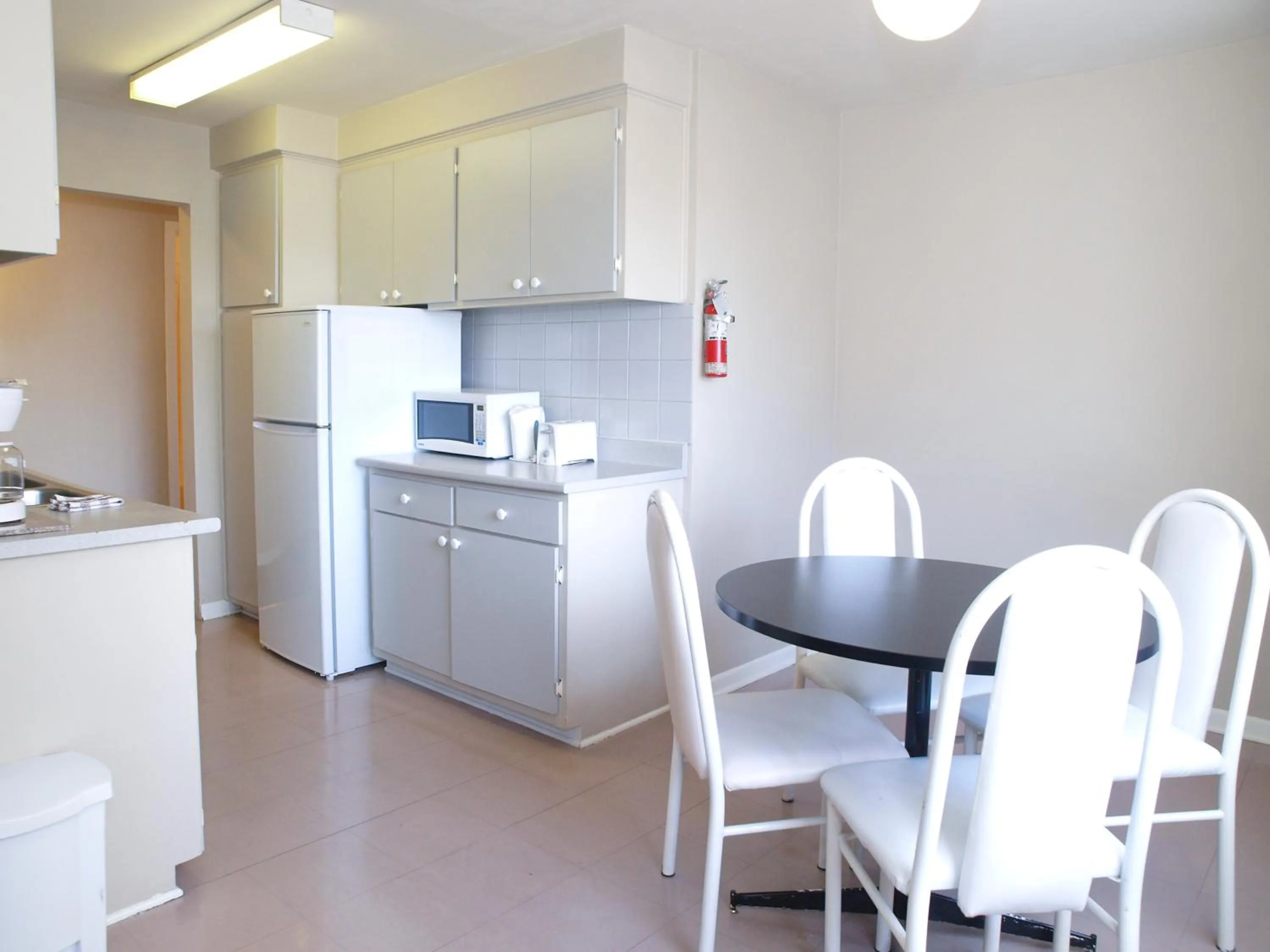 Kitchen or kitchenette in Beausejour Hotel Apartments/Hotel Dorval