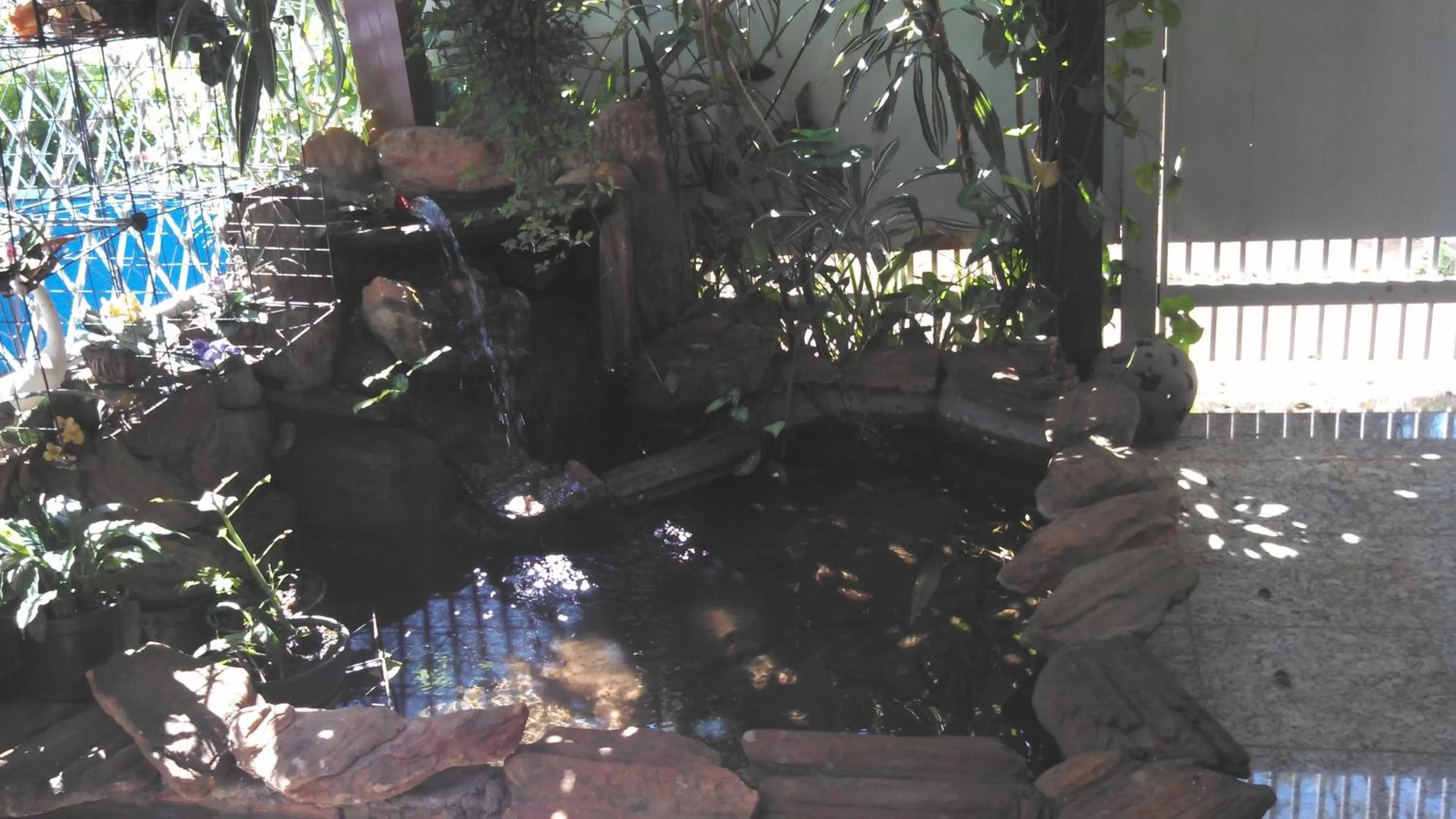 Natural landscape in KzaZendf Cama e Cafe Asa Sul