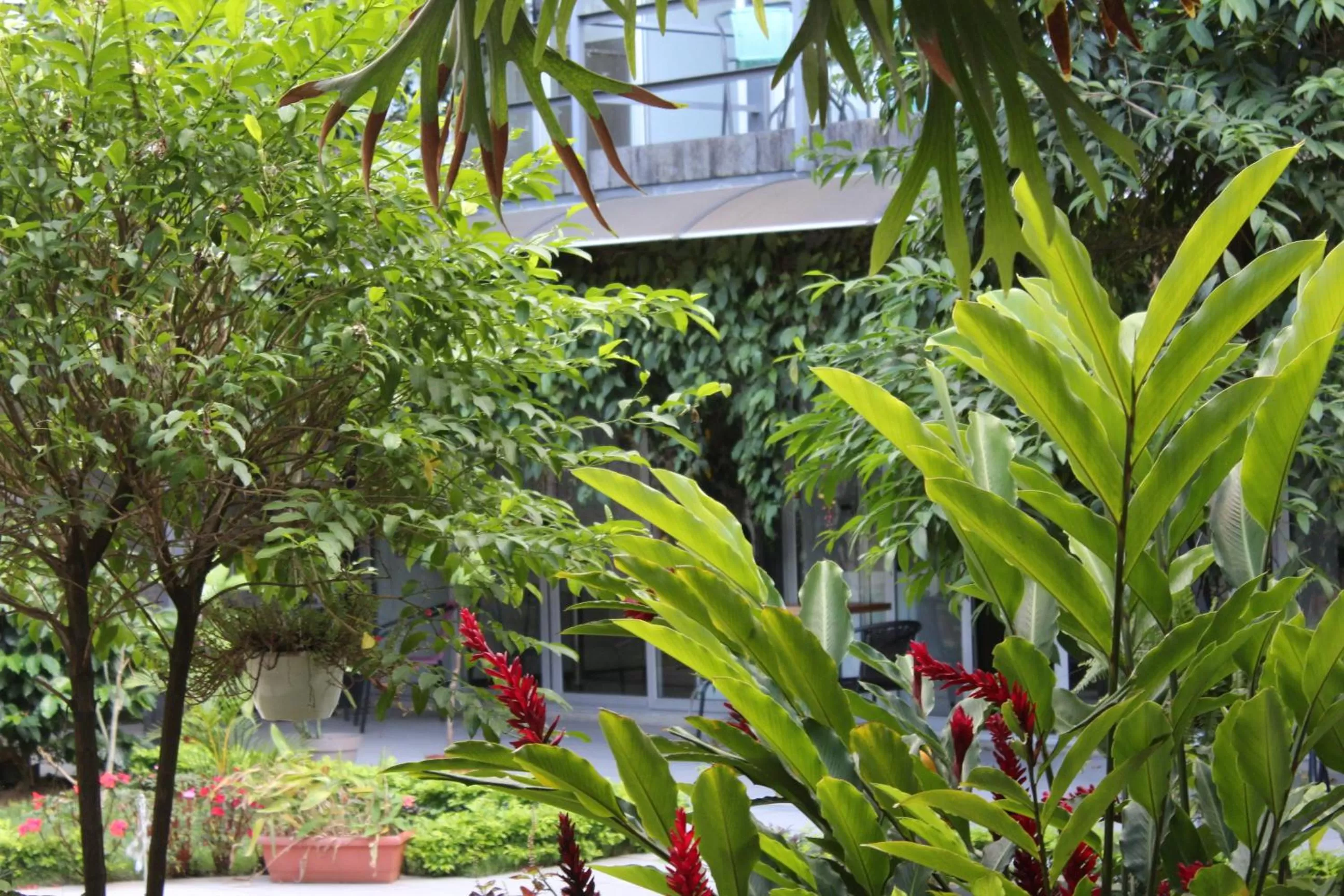 Garden in Cando Living Apartments in Central Avenue