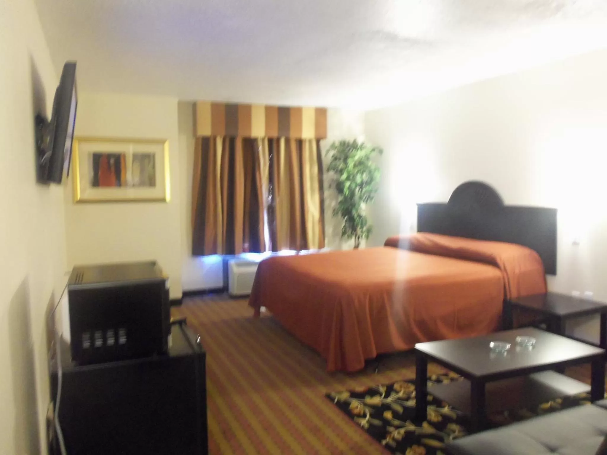 Photo of the whole room, Bed in Araamda Inn