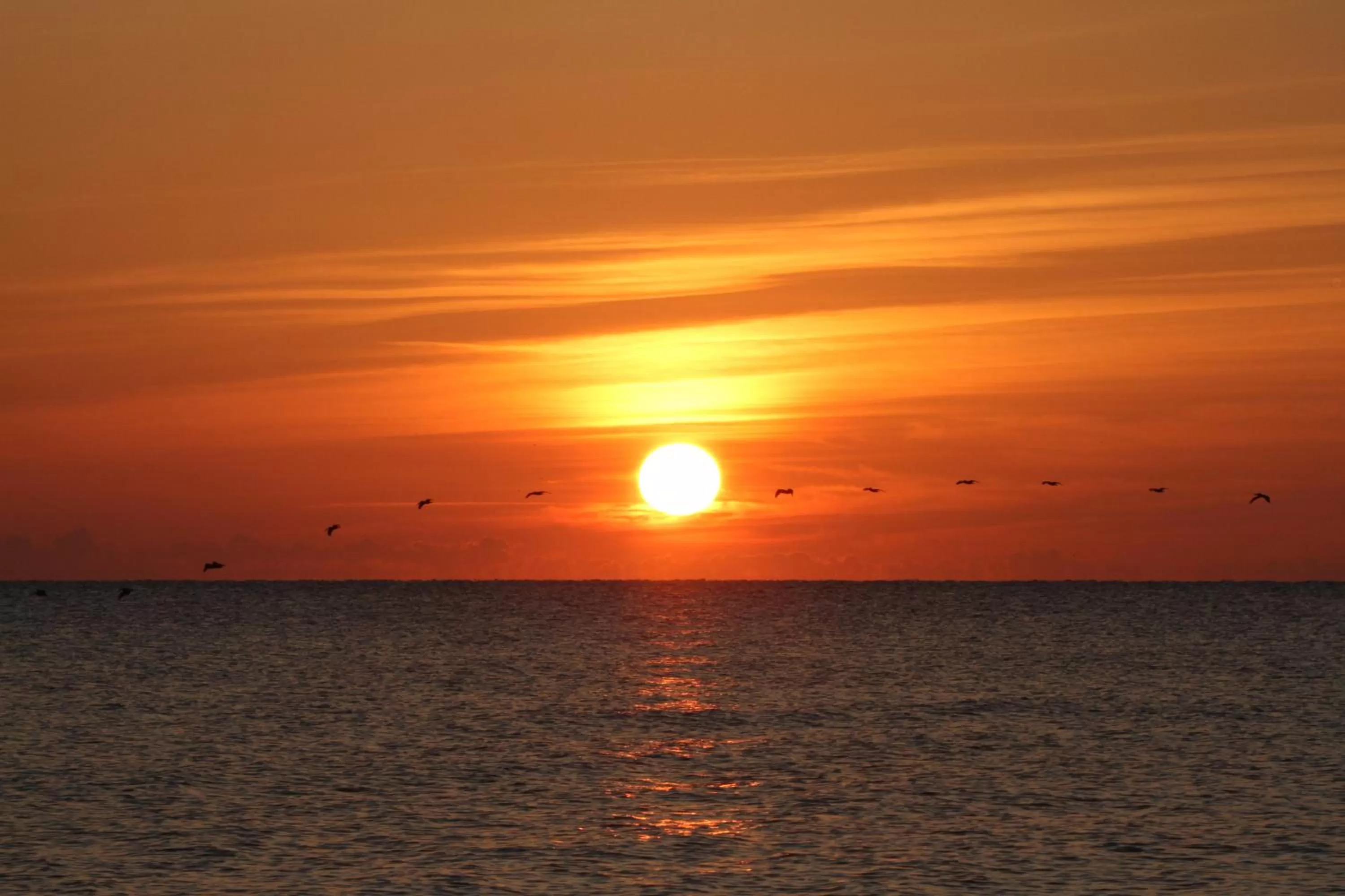 Beach, Sunrise/Sunset in Oceanfront Inn and Suites - Ormond