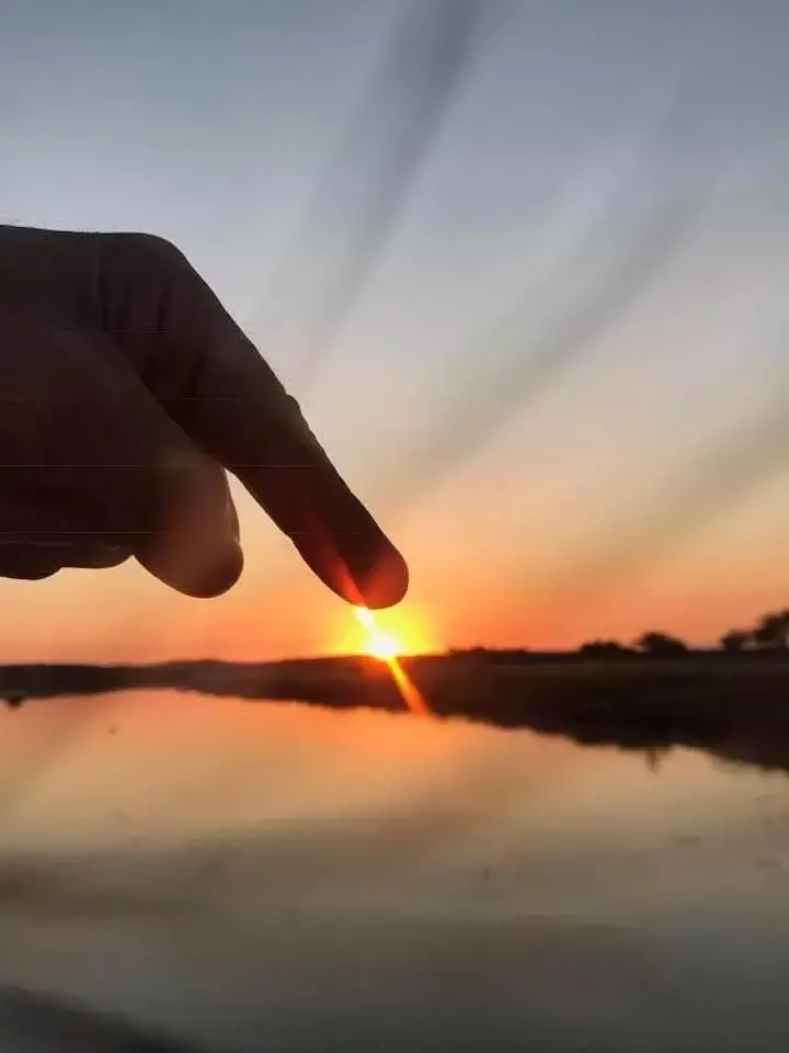 L Atypique L Atypique