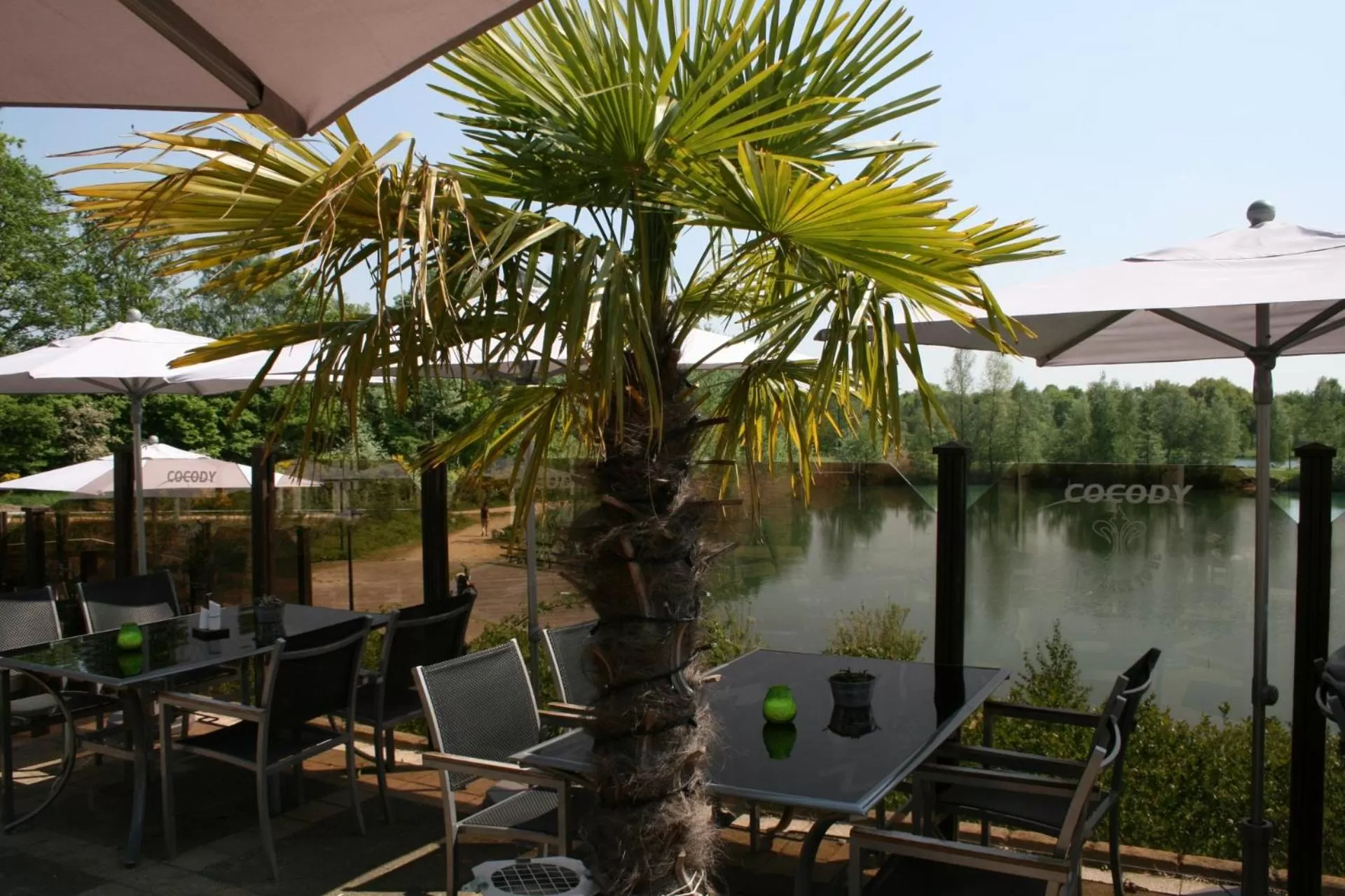 Restaurant/places to eat in Hotel Buenos