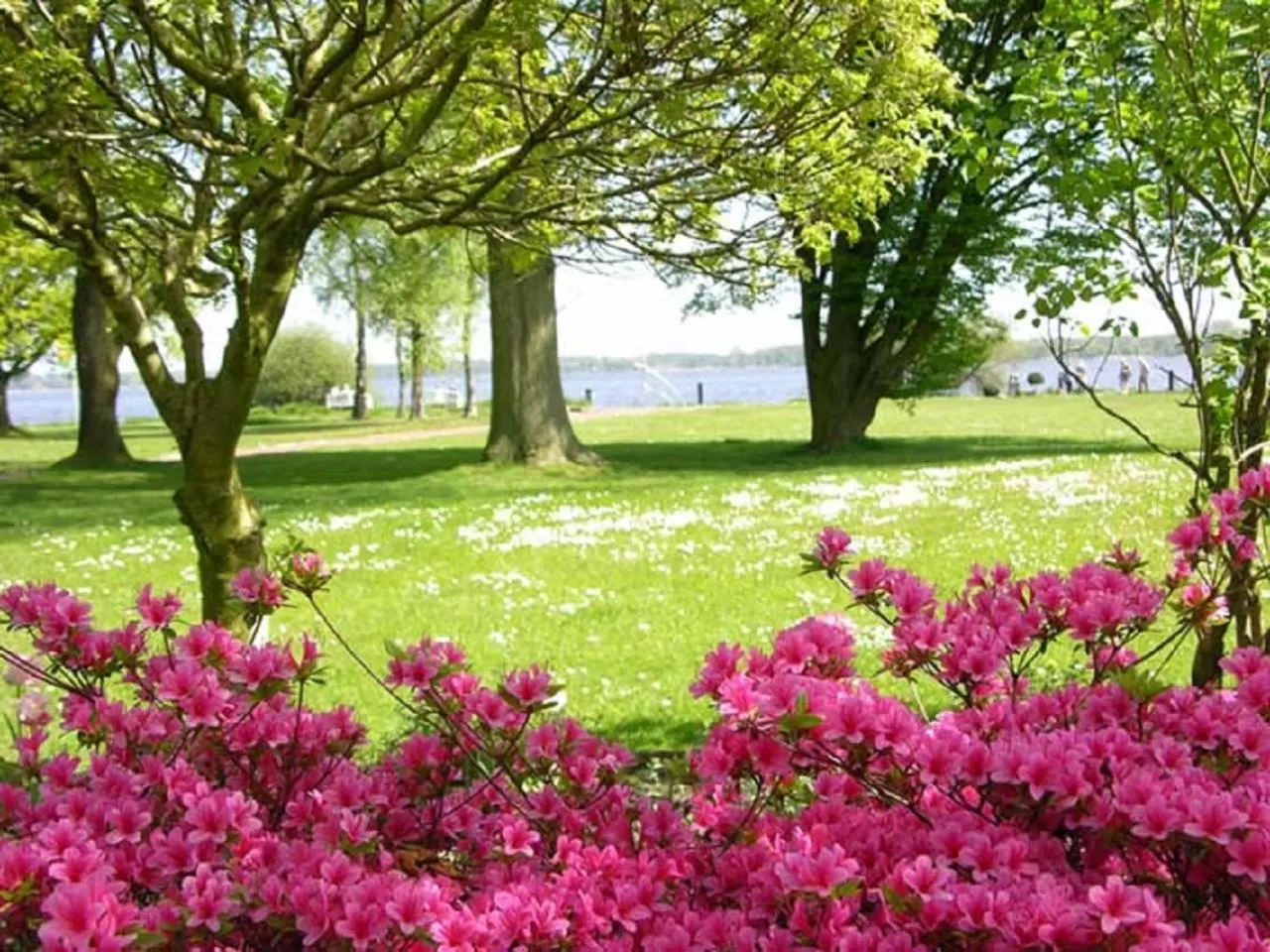 Natural landscape in Hotel Rosmarin