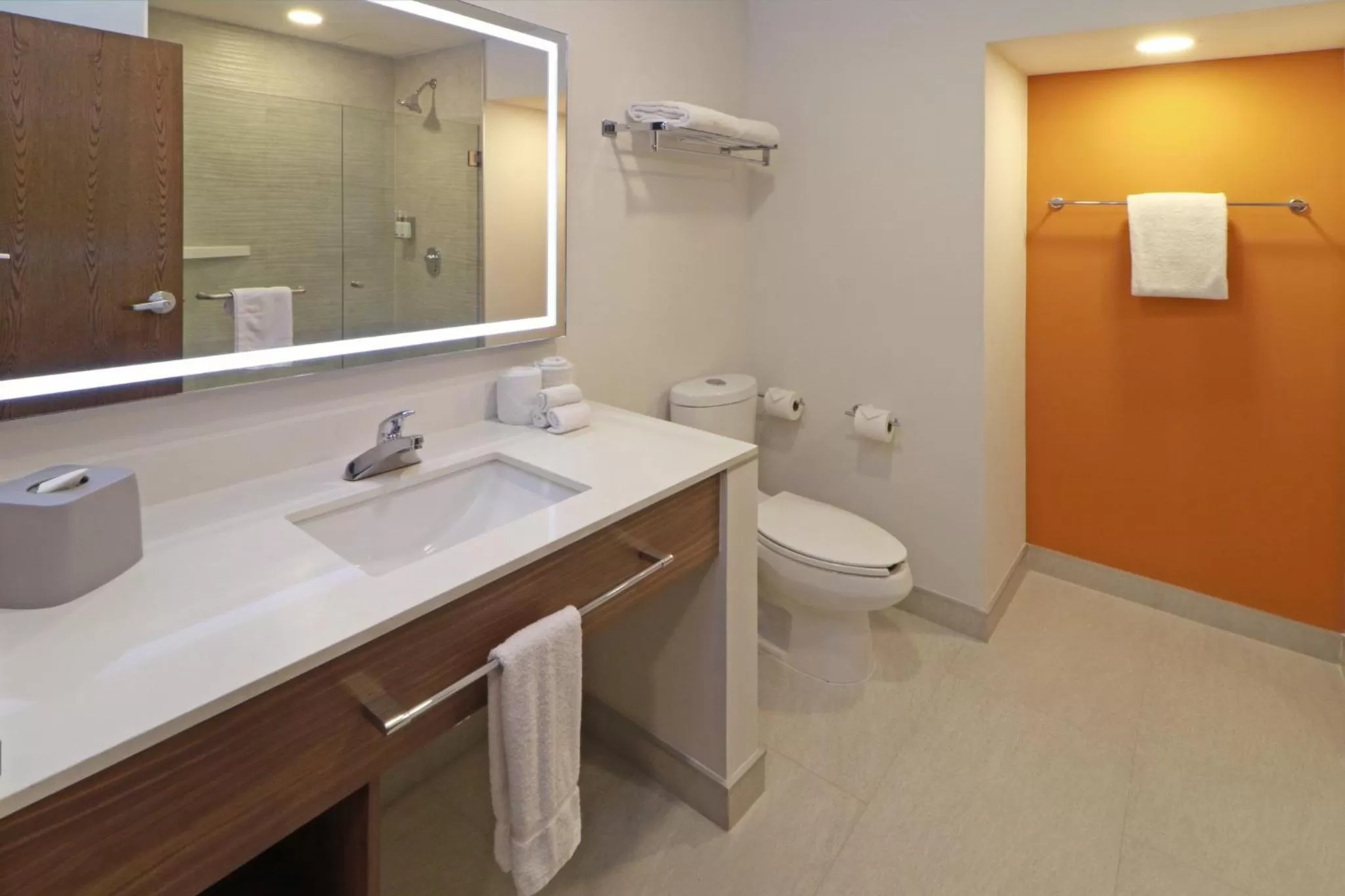 Bathroom in Holiday Inn Express San Luis Potosí by IHG