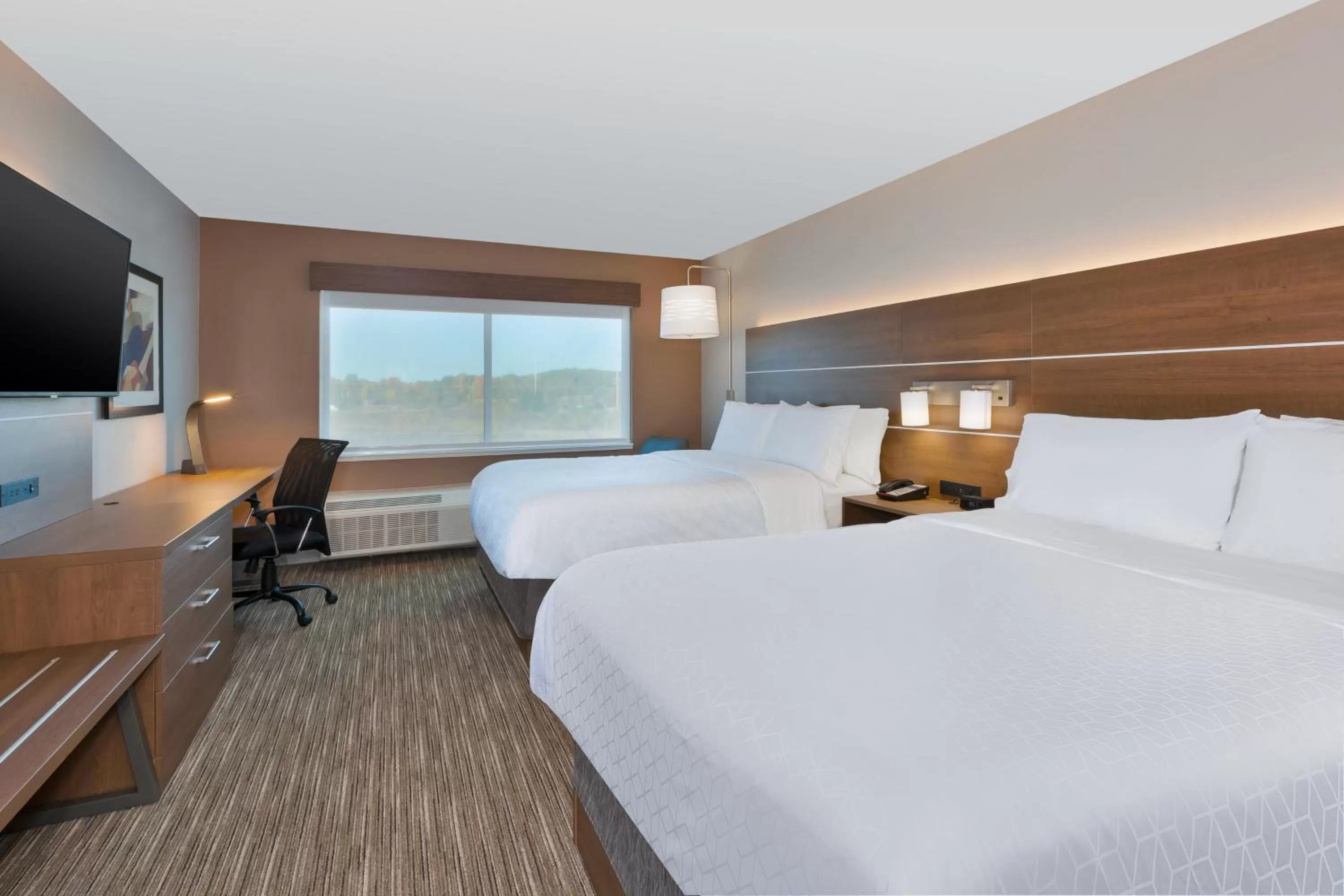 Photo of the whole room, Bed in Holiday Inn Express & Suites - Cedar Springs - Grand Rapids N by IHG