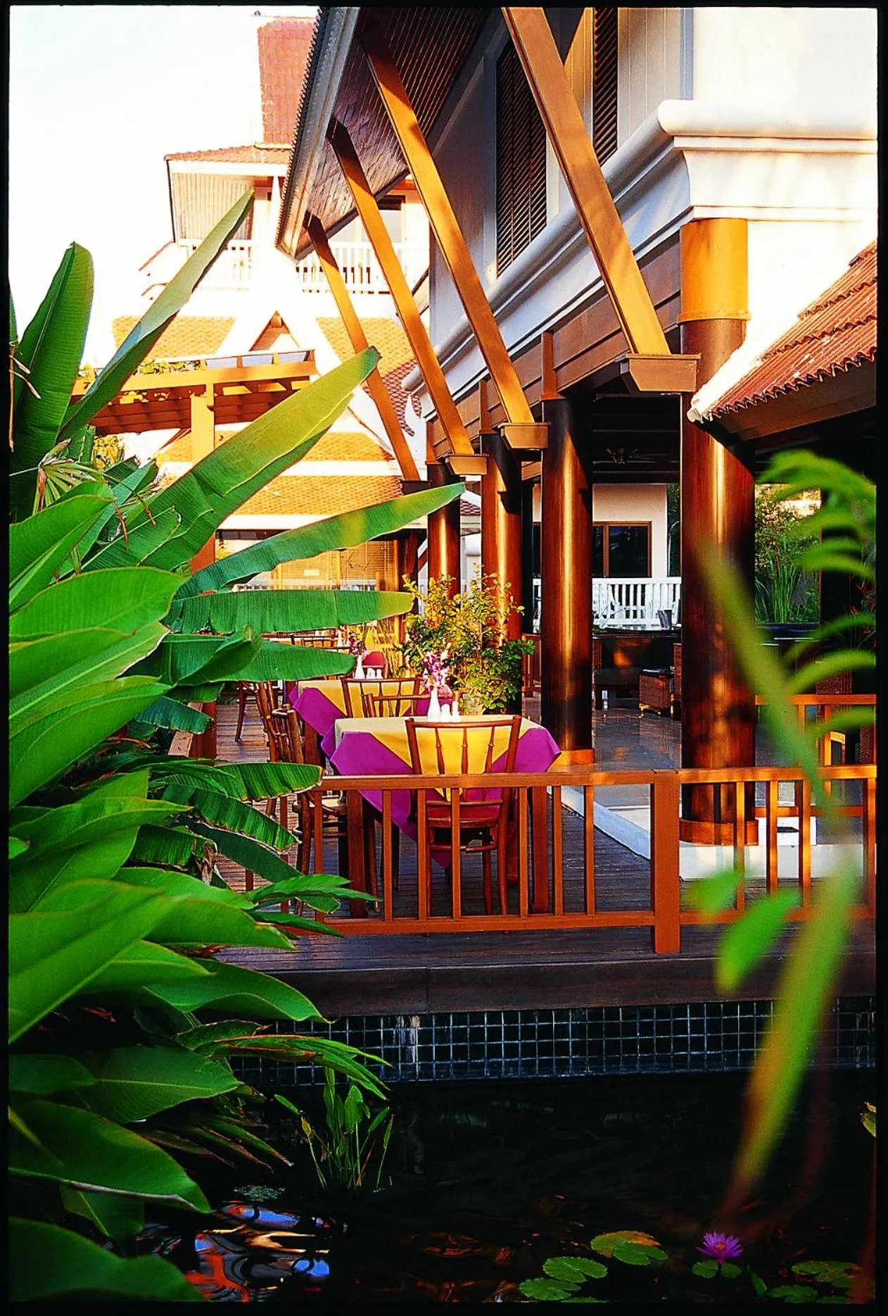 Restaurant/places to eat in Kata Poolside Resort SHA Extra Plus