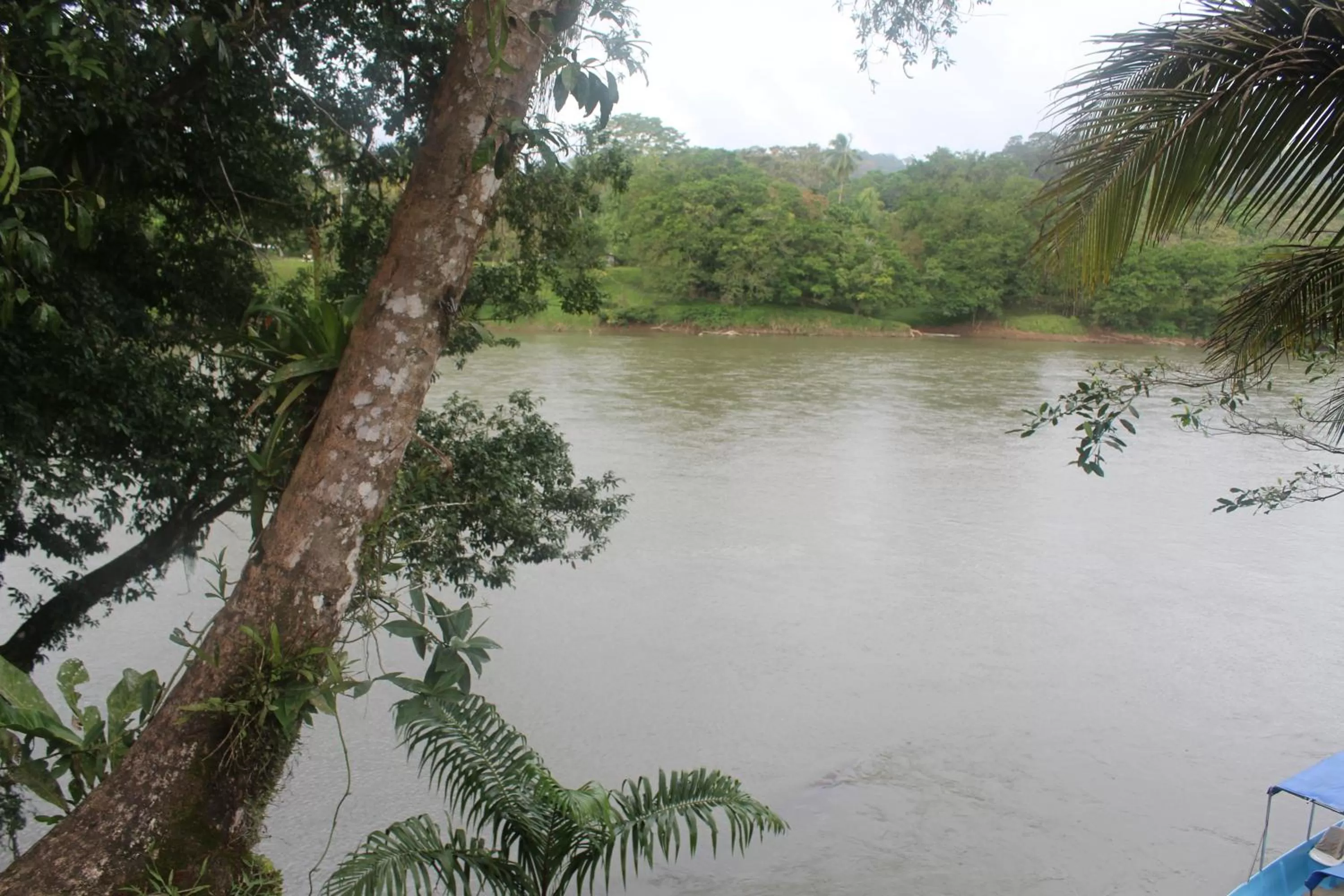 Property building in Iguanitas Lodge