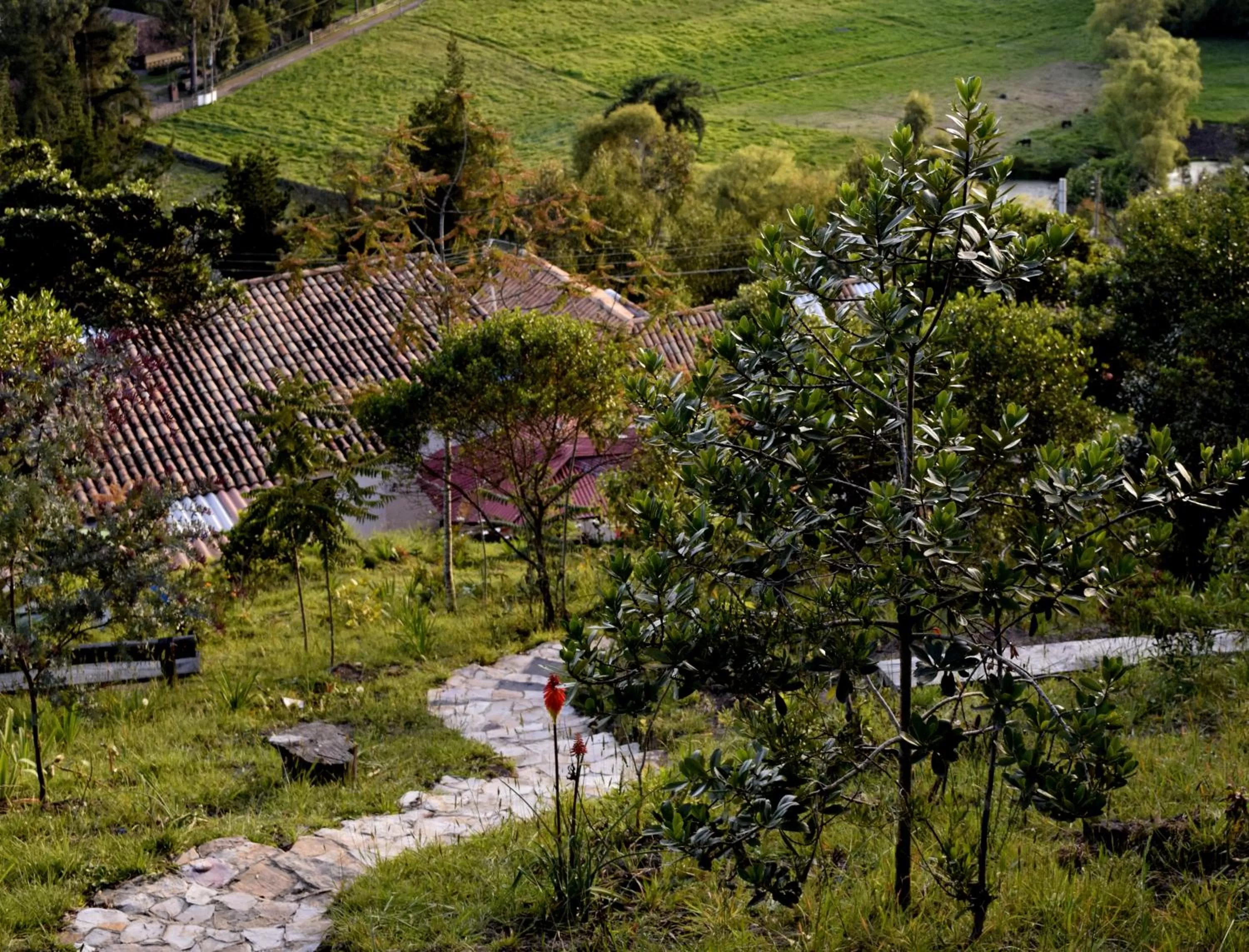 Garden in El Pedregal Sopó