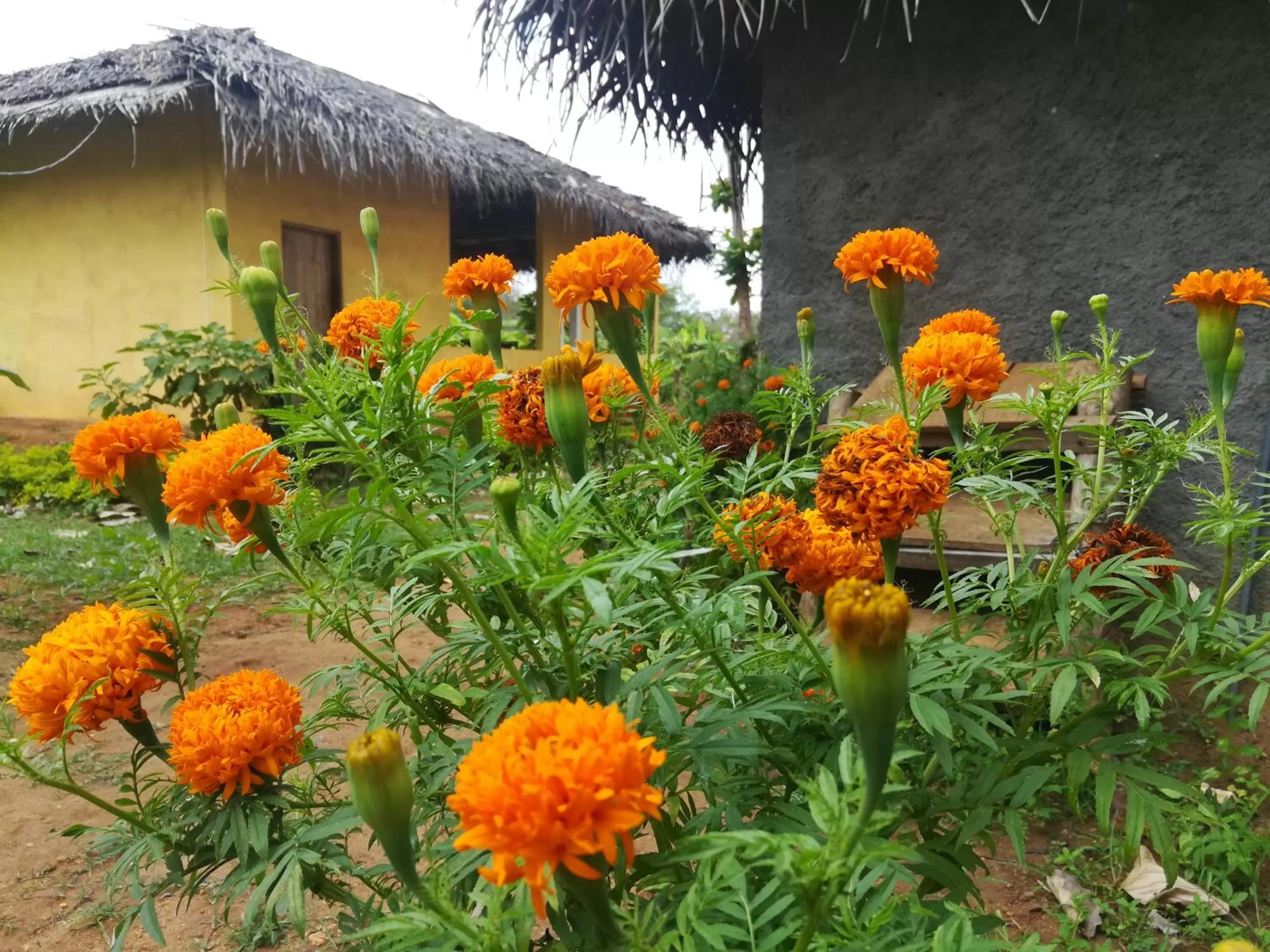 Natural landscape in Lake Bliss