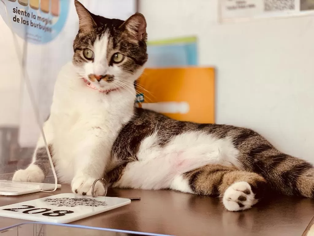 Property building in Hotel Parque de los Novios Inn