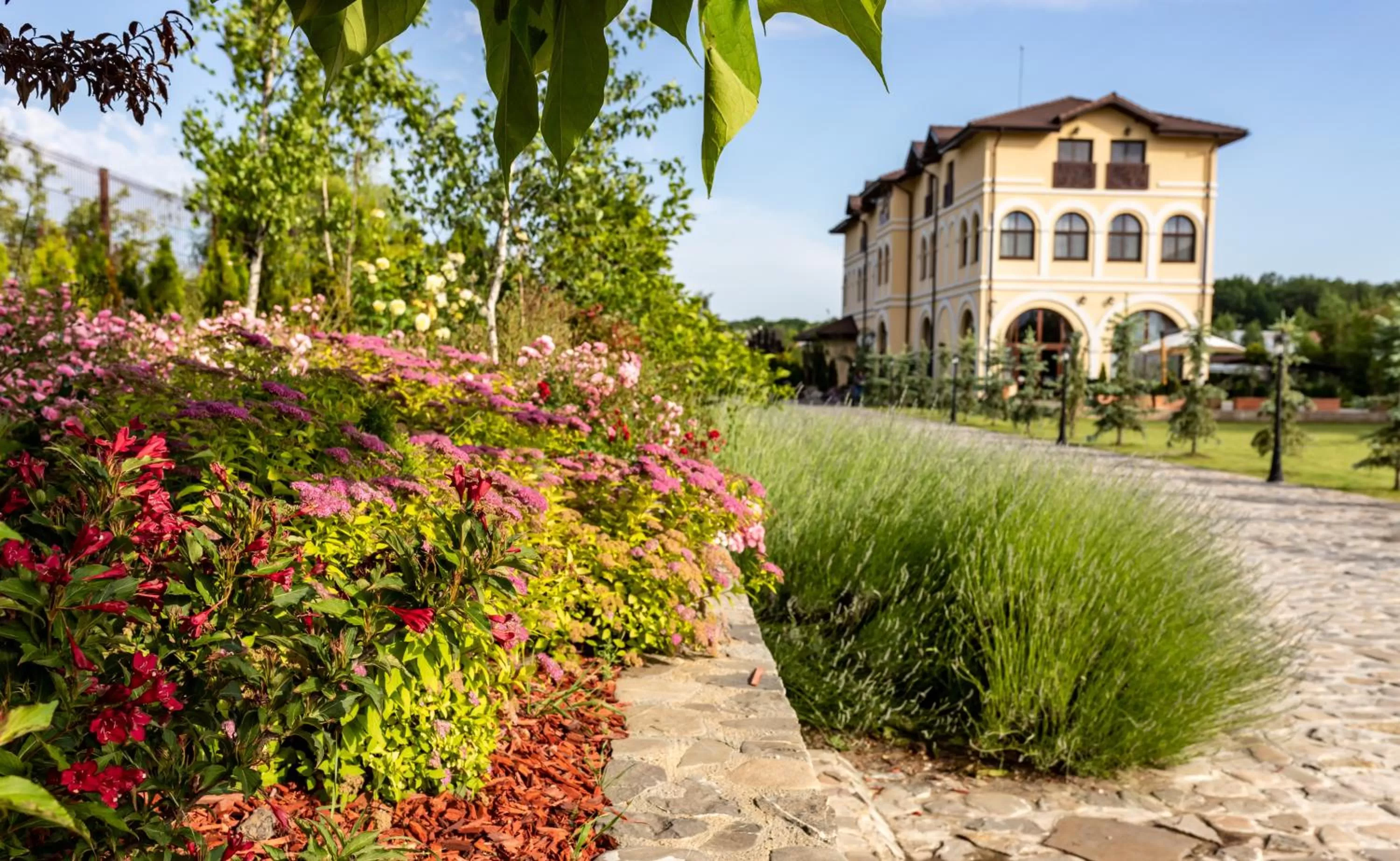 Natural landscape in Country Spa Retreat