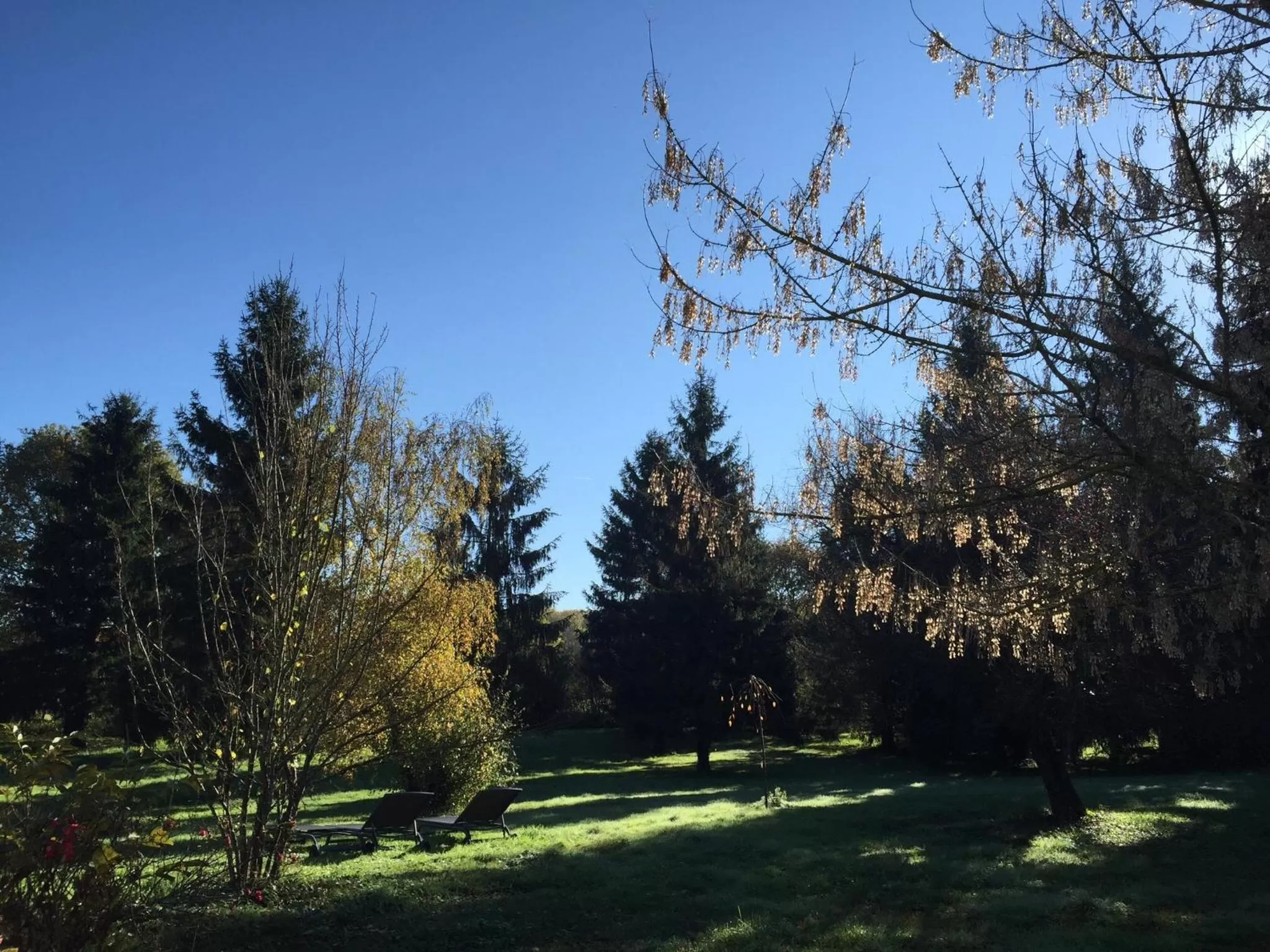 Garden in Les Colonnes De Chanteloup