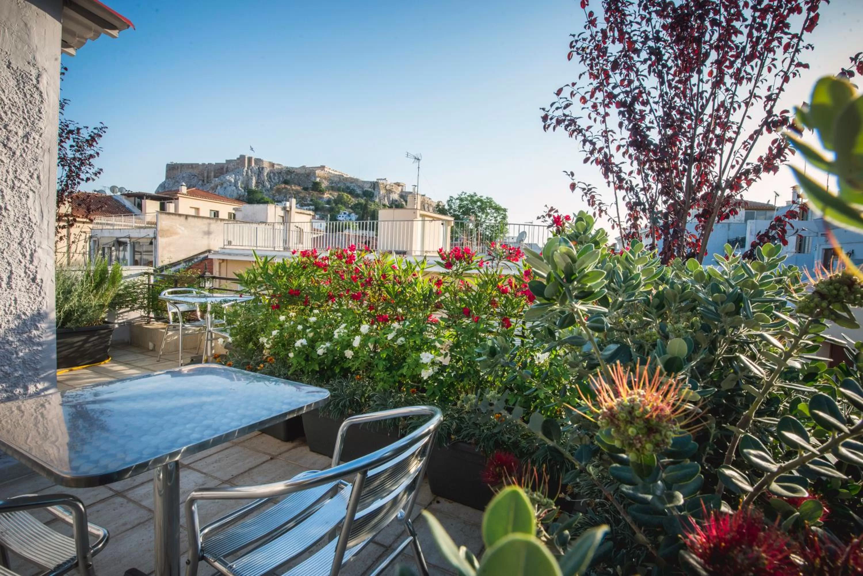 Patio in Kimon Hotel Athens