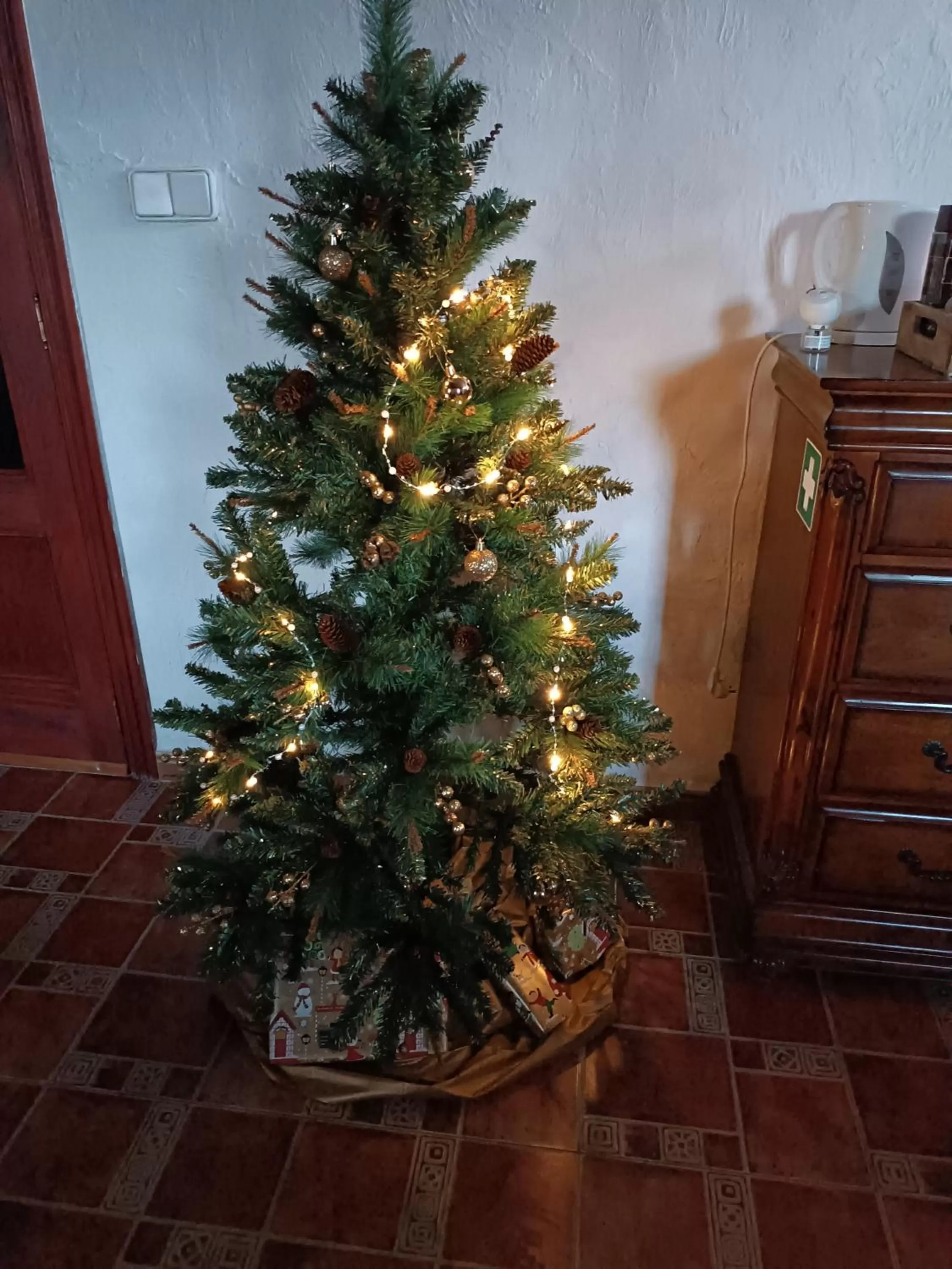 Winter in Sunny Vista