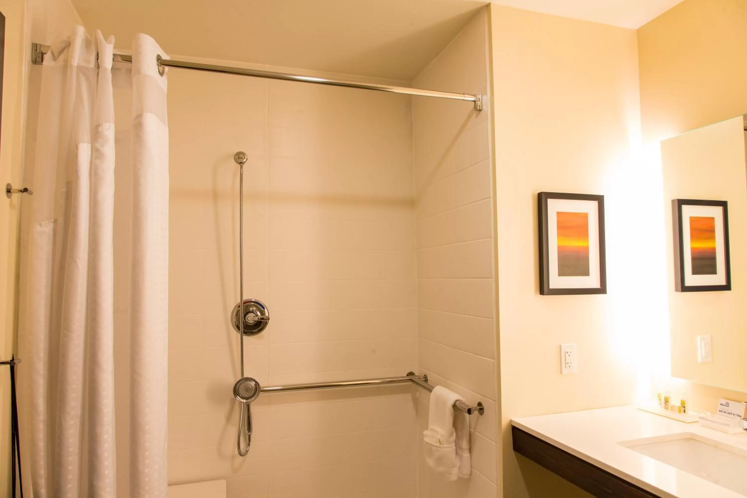 Bathroom in Holiday Inn Hotel & Suites - Mount Pleasant by IHG