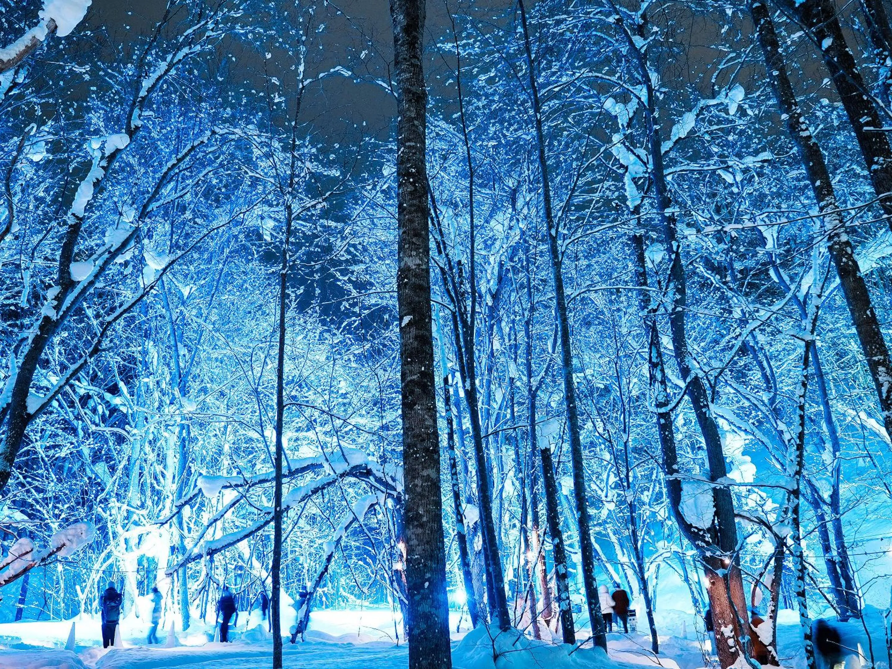 Activities in Jozankei View Hotel