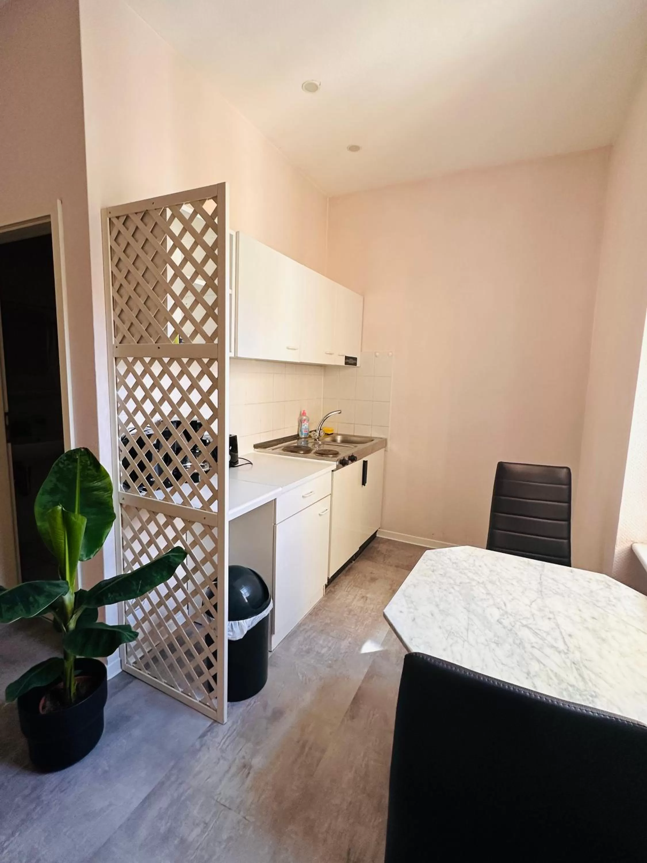 Kitchen/Kitchenette in Saale, Marktplatz Zentrum, Apartmenthaus am Dom von Plant Room