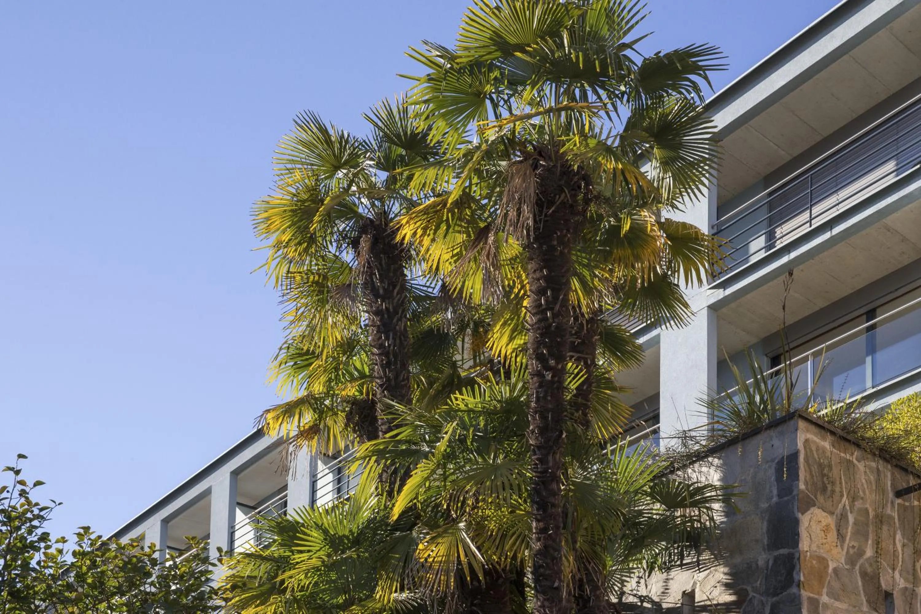 Property building in La Barca Blu