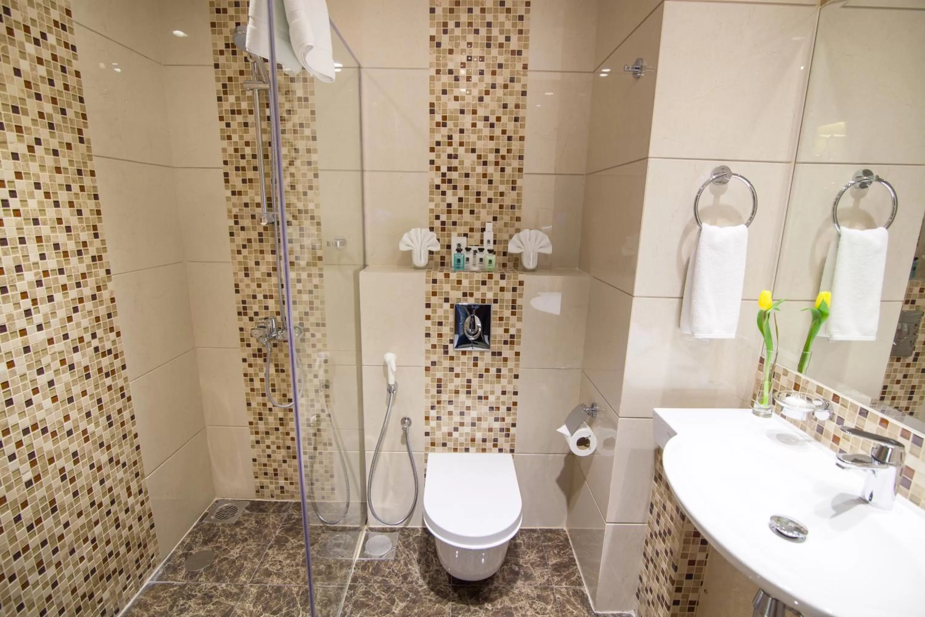 Shower in Premier Hotel