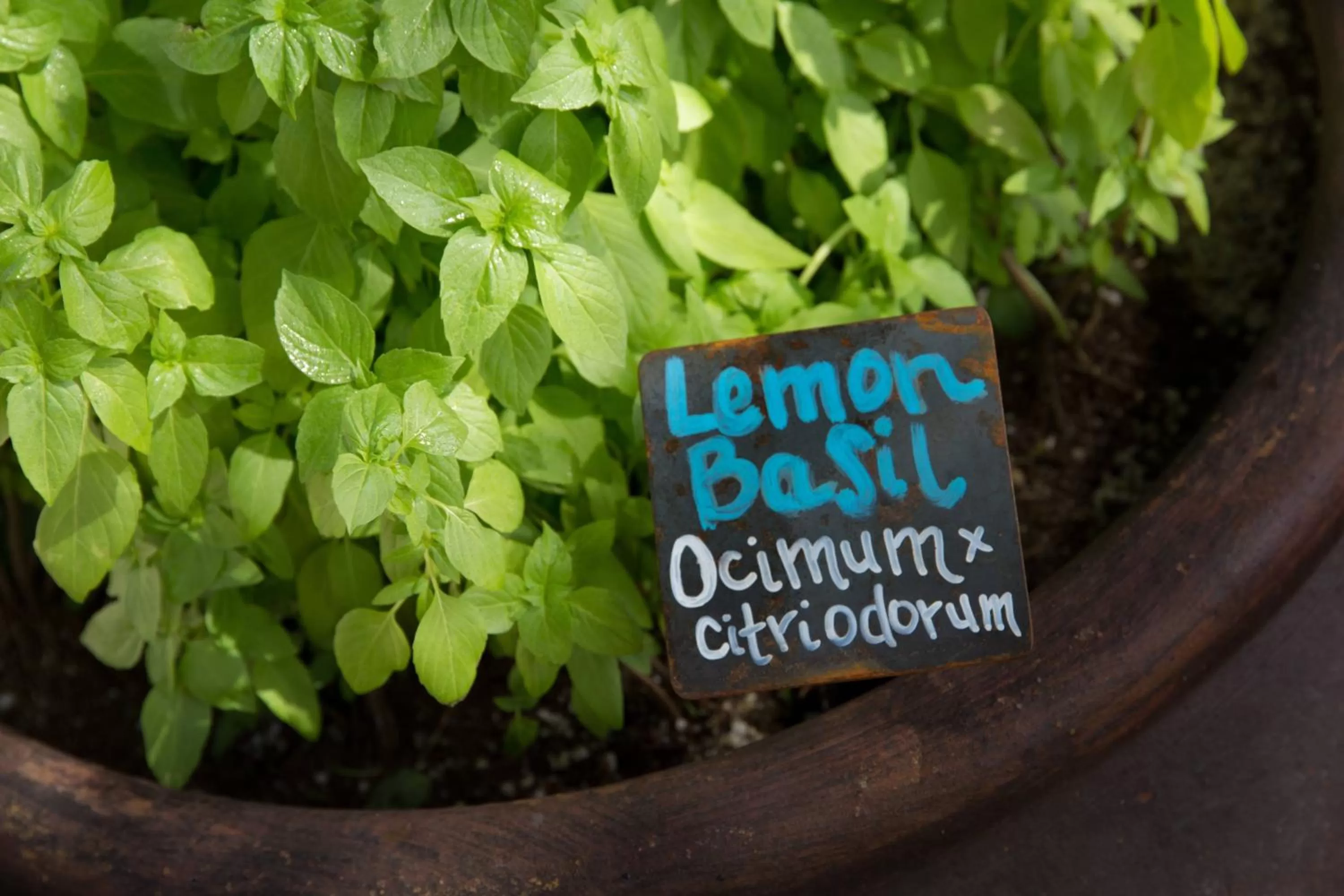 Other in JW Marriott Phoenix Desert Ridge Resort & Spa