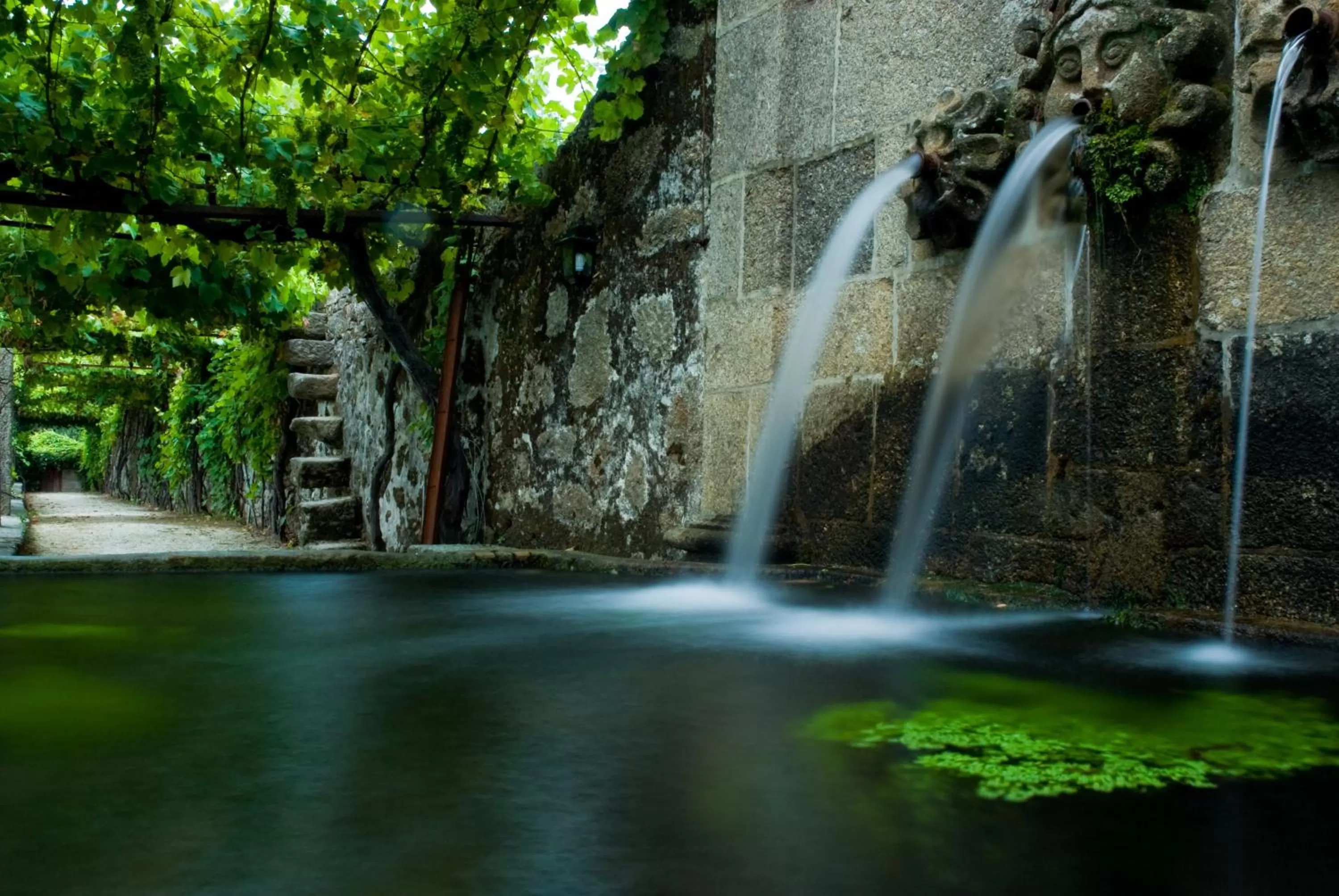 Garden in Paço de Calheiros - Turismo de Habitação