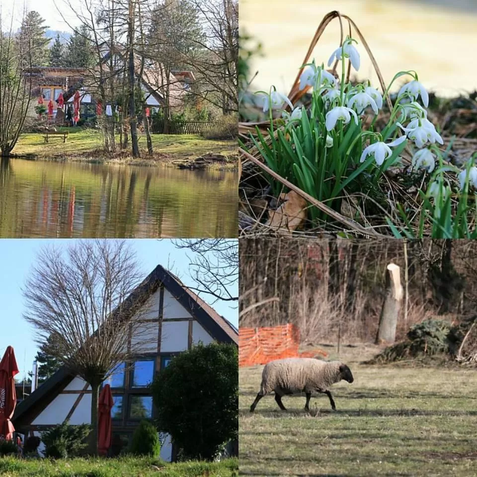 Property building in Landhaus Tonmühle