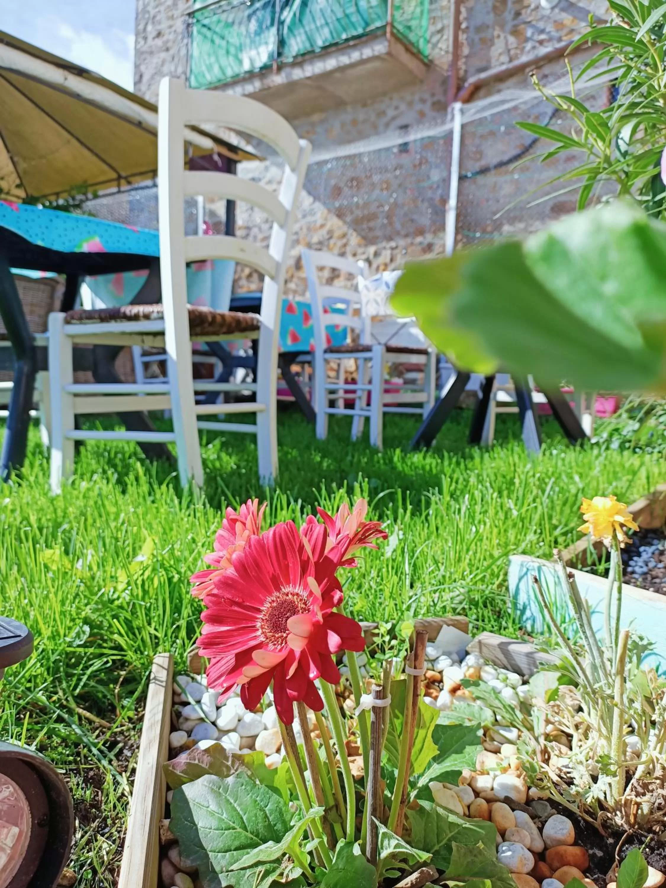 Garden in B&B Un posto nel mondo