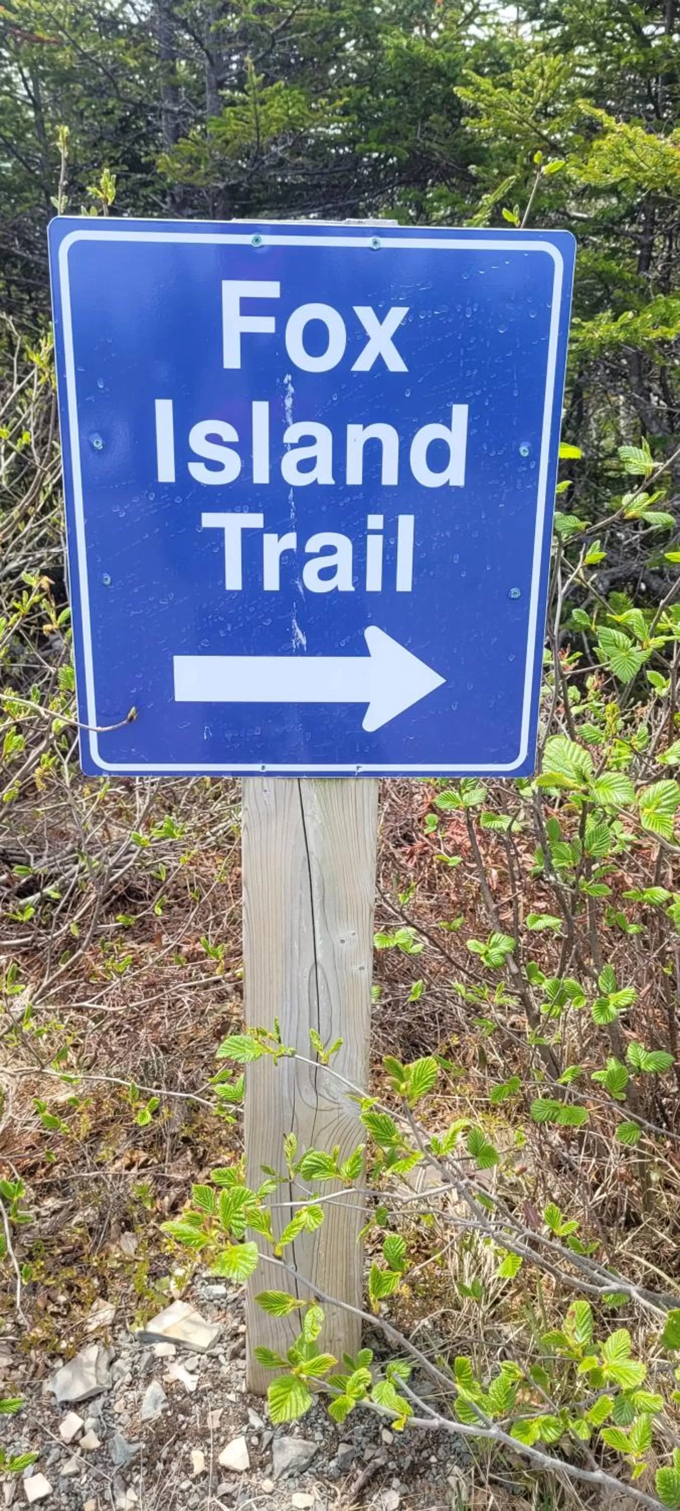 Nearby landmark, Property Logo/Sign in The Harbourside Inn & Cafe