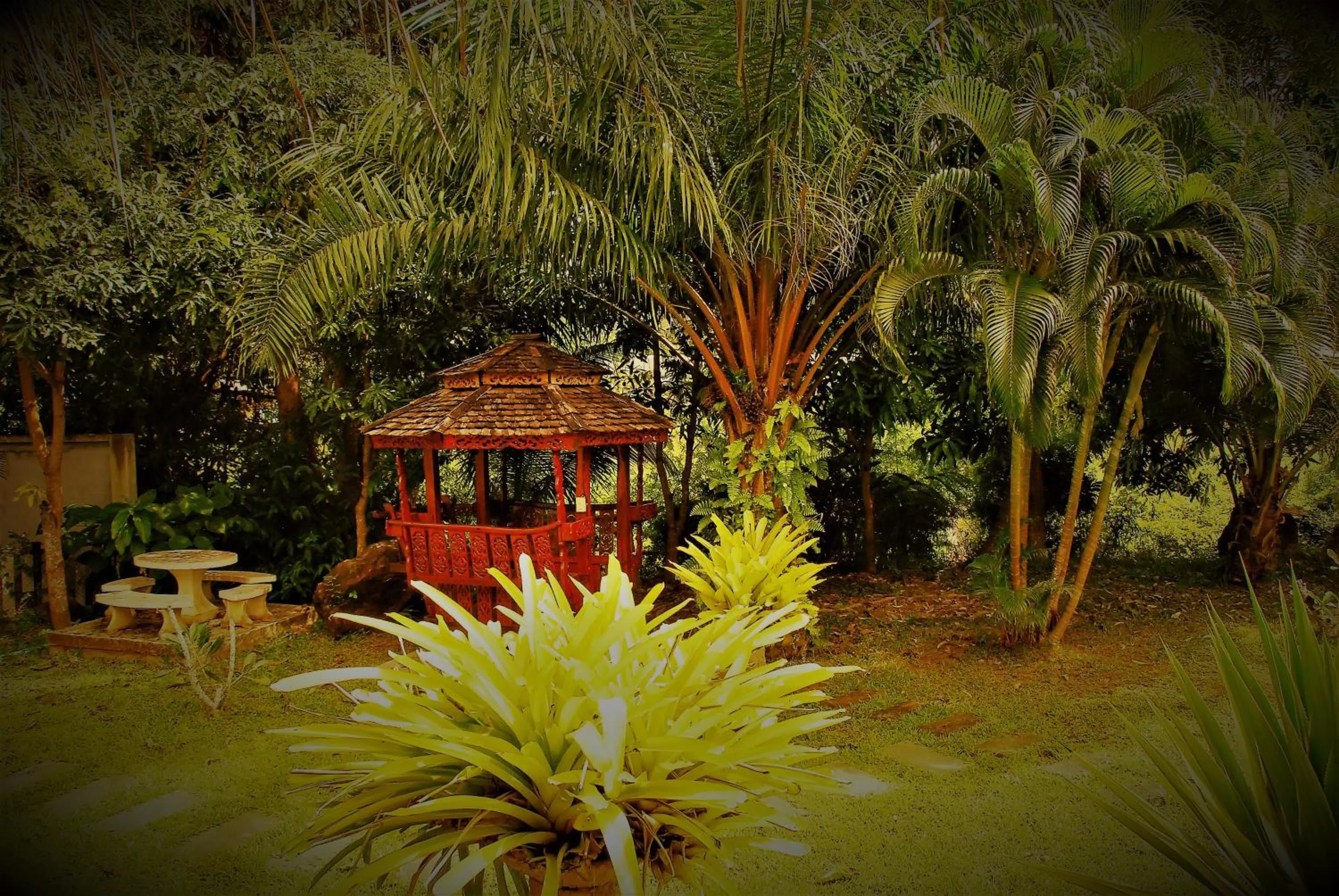 Garden in Cozy Garden Resort