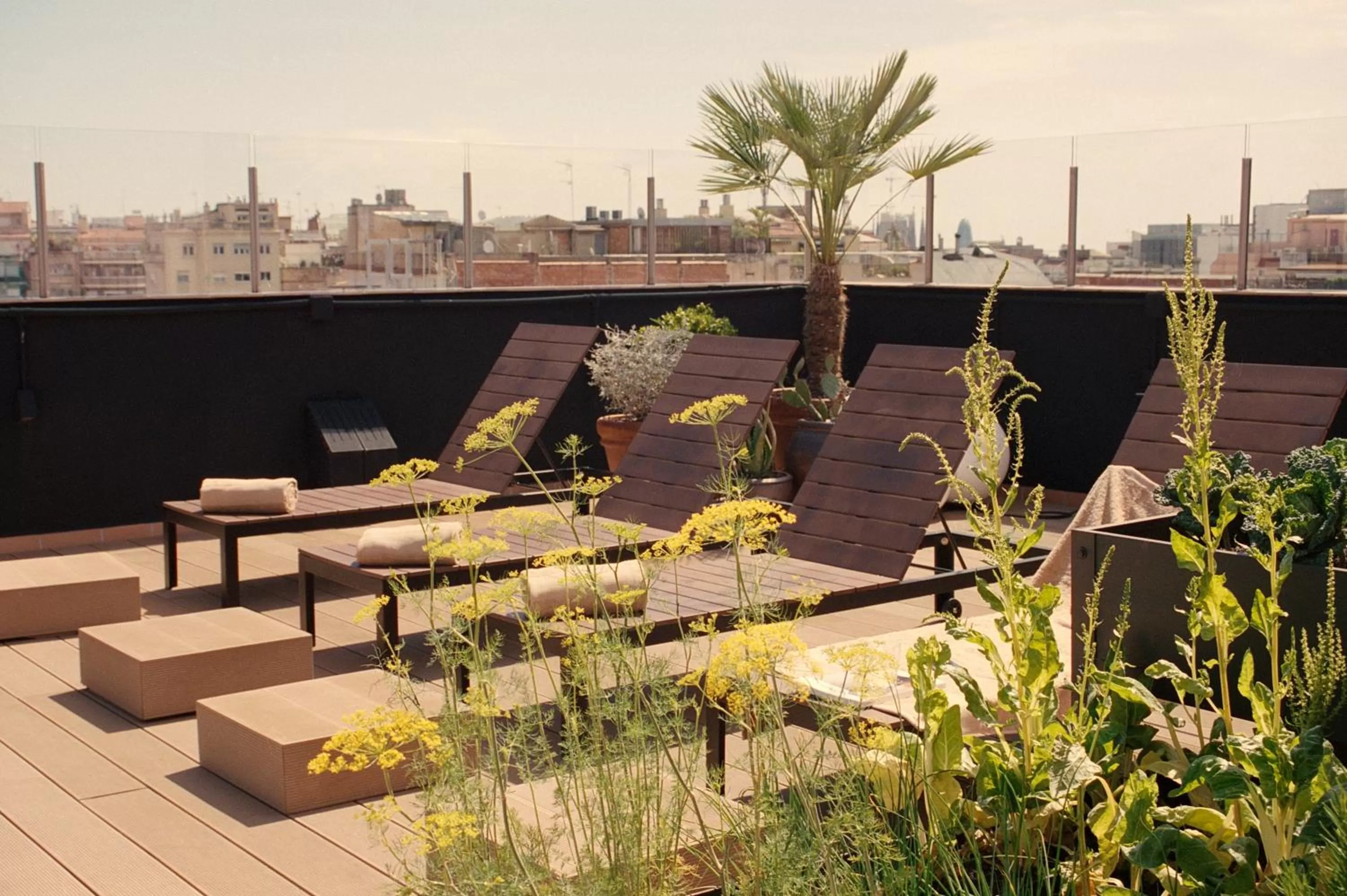 Balcony/Terrace in Pol & Grace Hotel