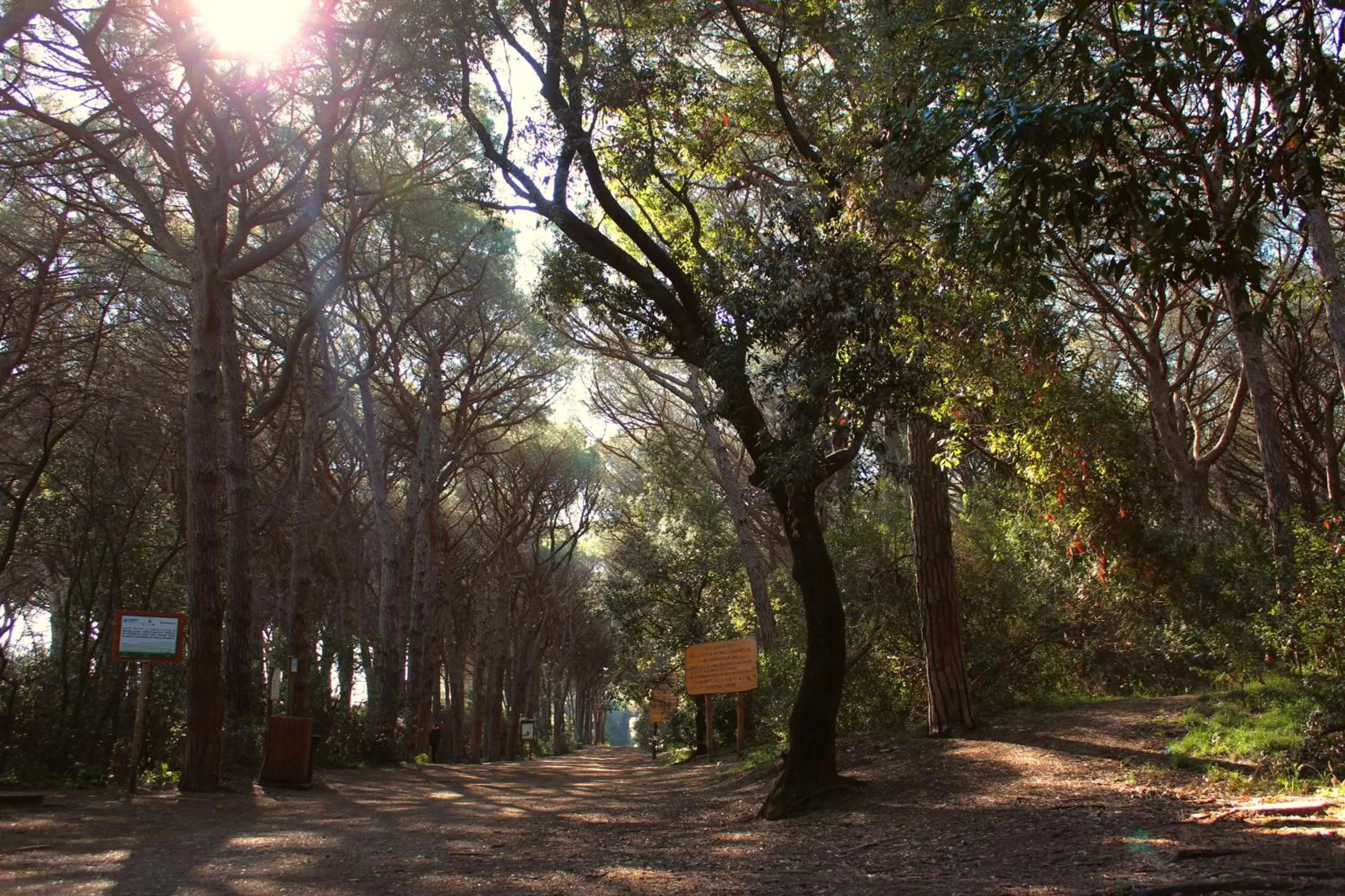 Spring in Hotel Massimo