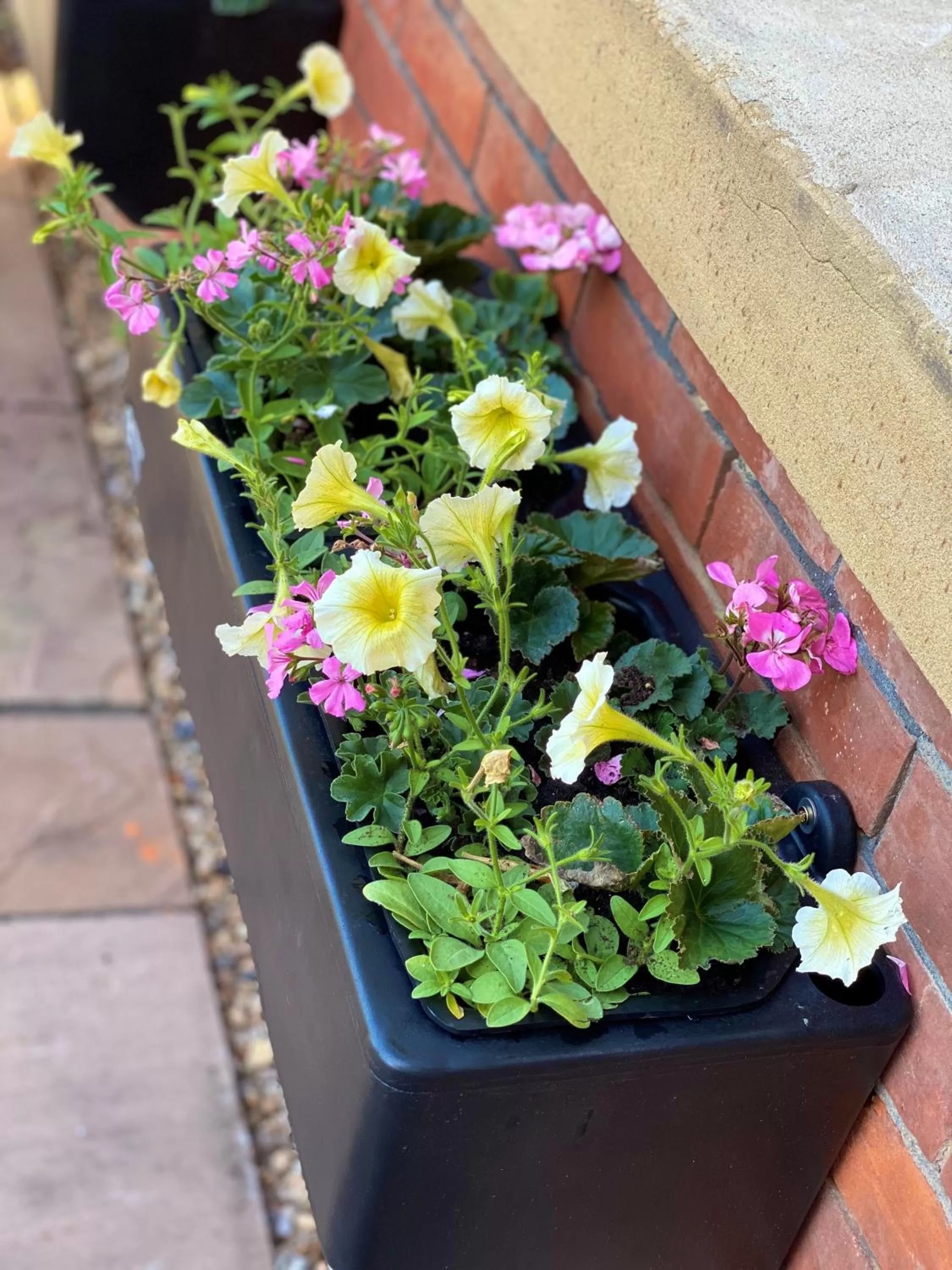 Garden in Yarrow Hotel