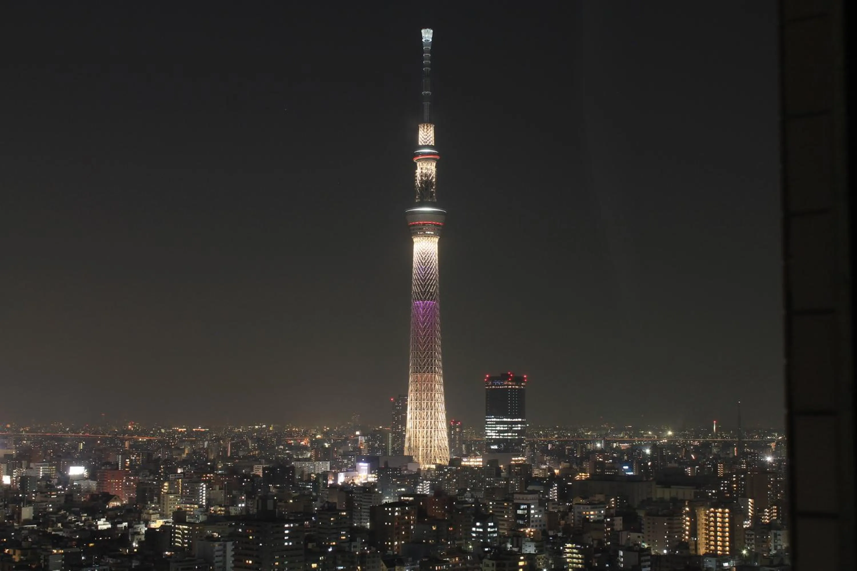 View (from property/room) in Dai-ichi Hotel Ryogoku