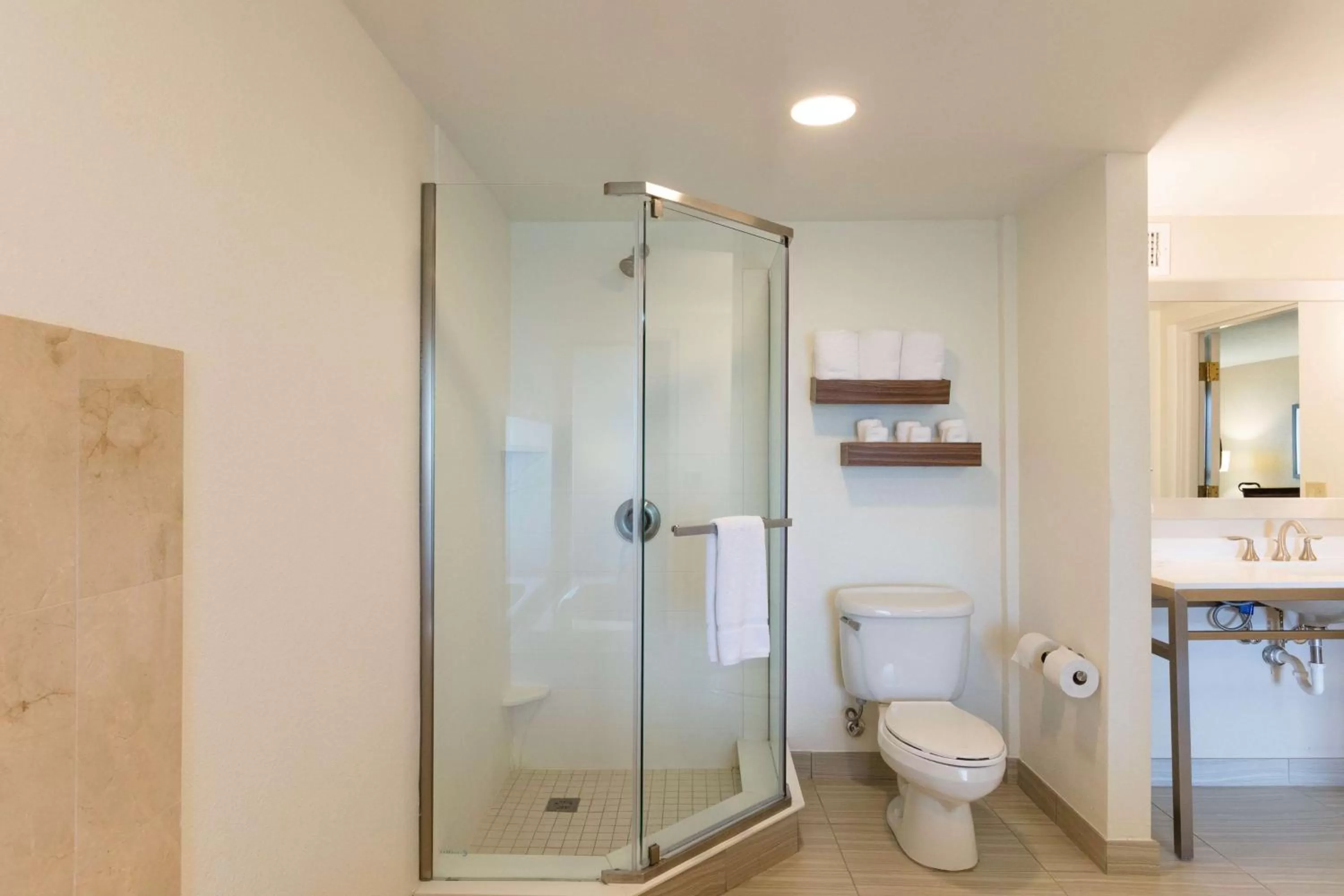 Bathroom in Hilton Garden Inn Jacksonville Airport