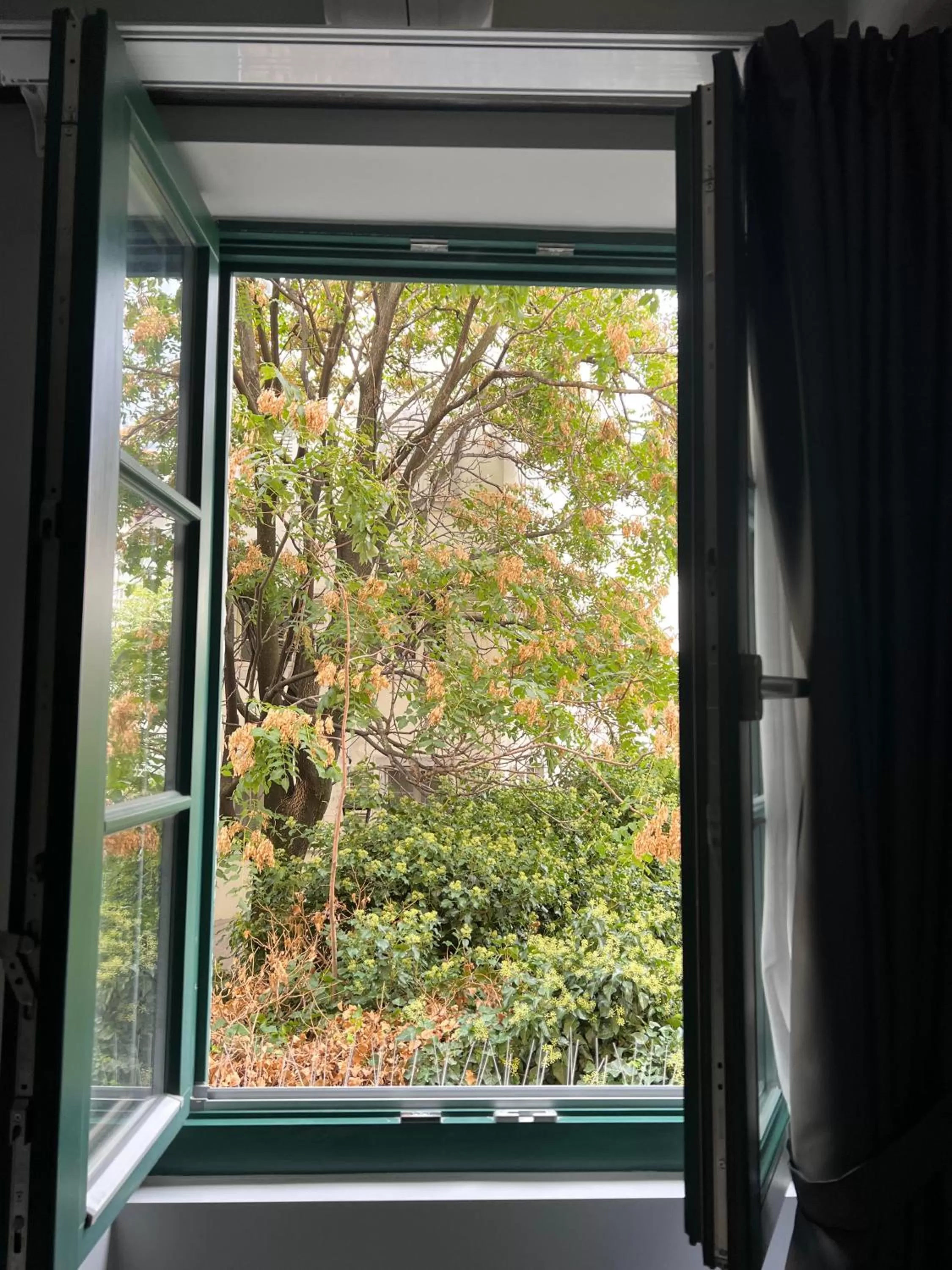 View (from property/room) in Mura 5&7