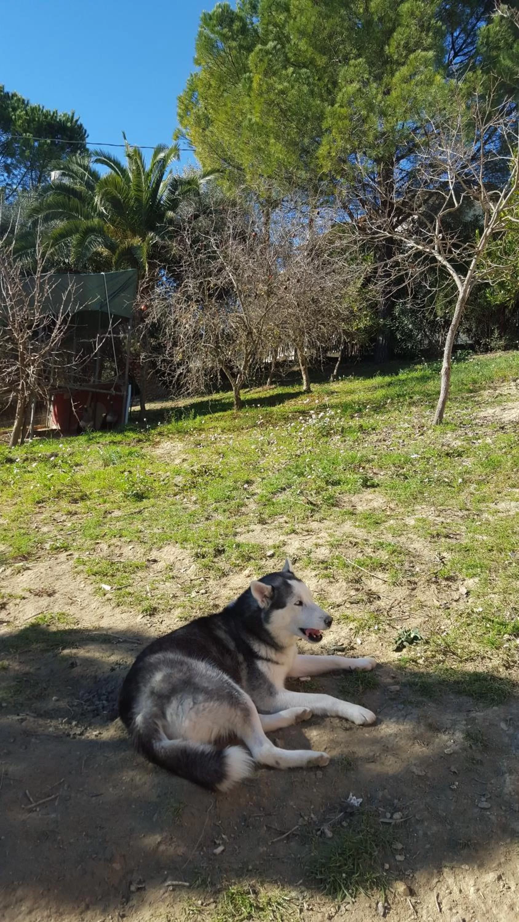 Garden view in B&B - Affittacamere da Pietro - Enna