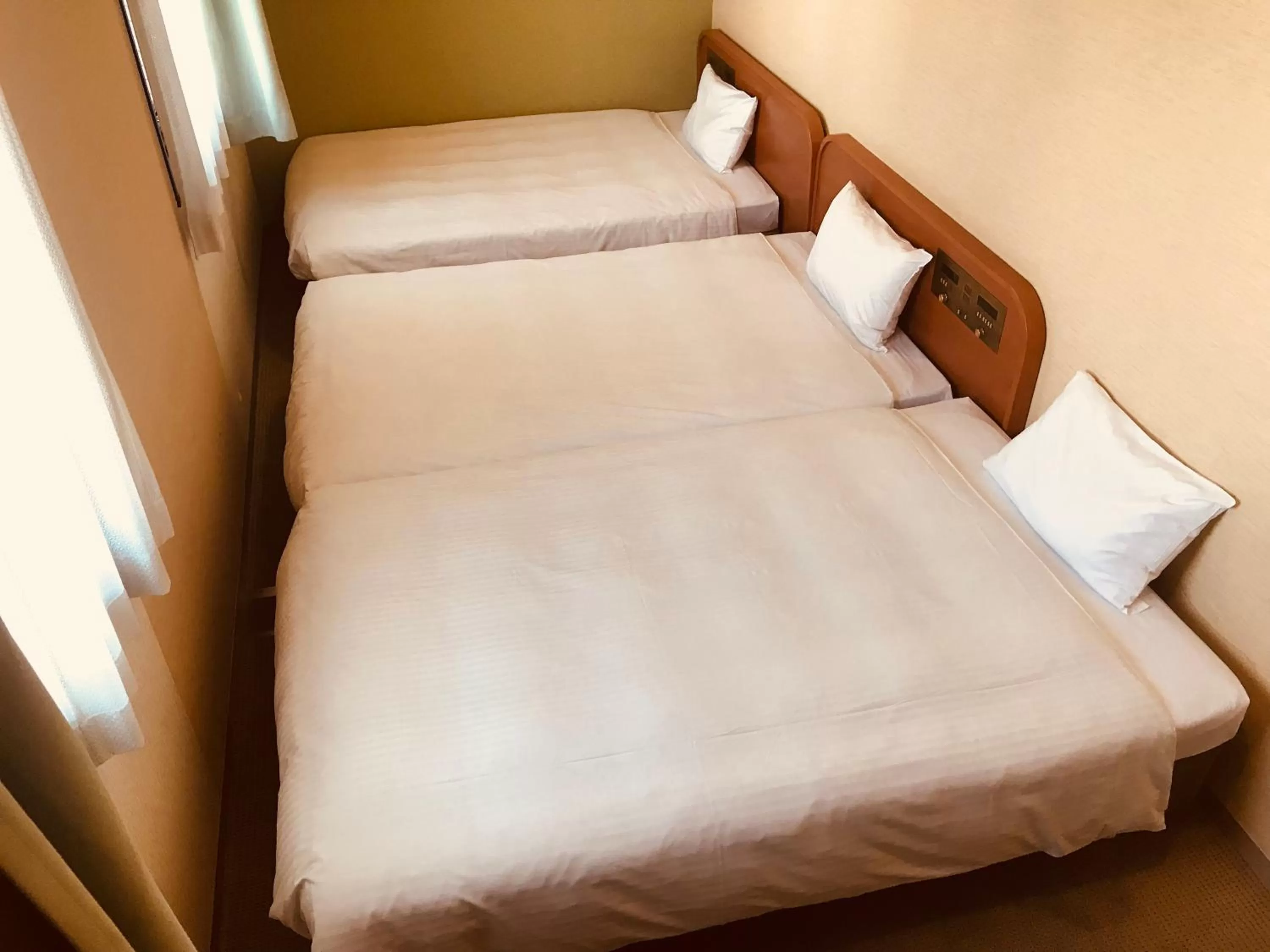 Photo of the whole room, Bed in Suizenji Comfort Hotel