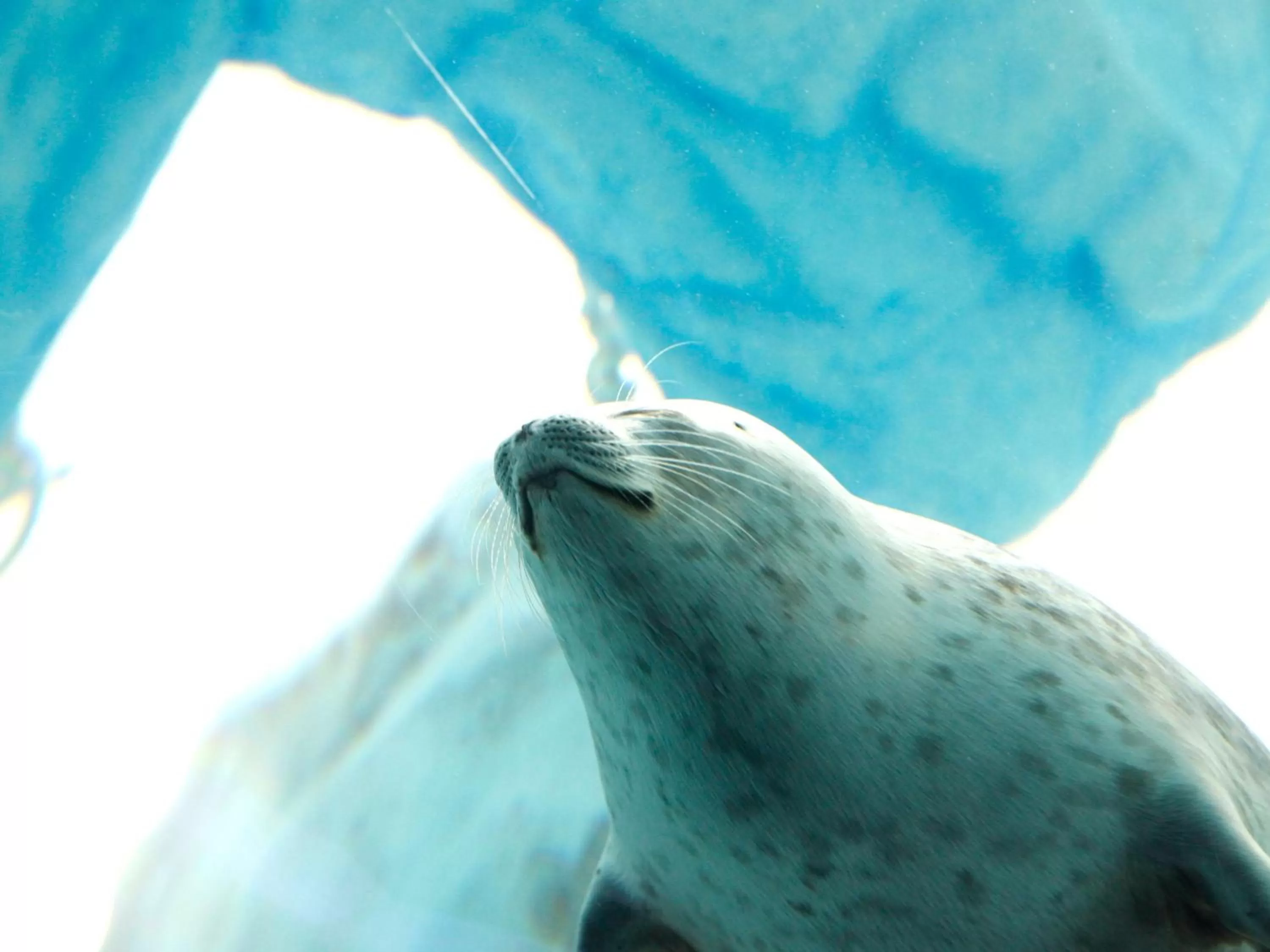 Nearby landmark in Hotel Wing International Select Osaka Umeda