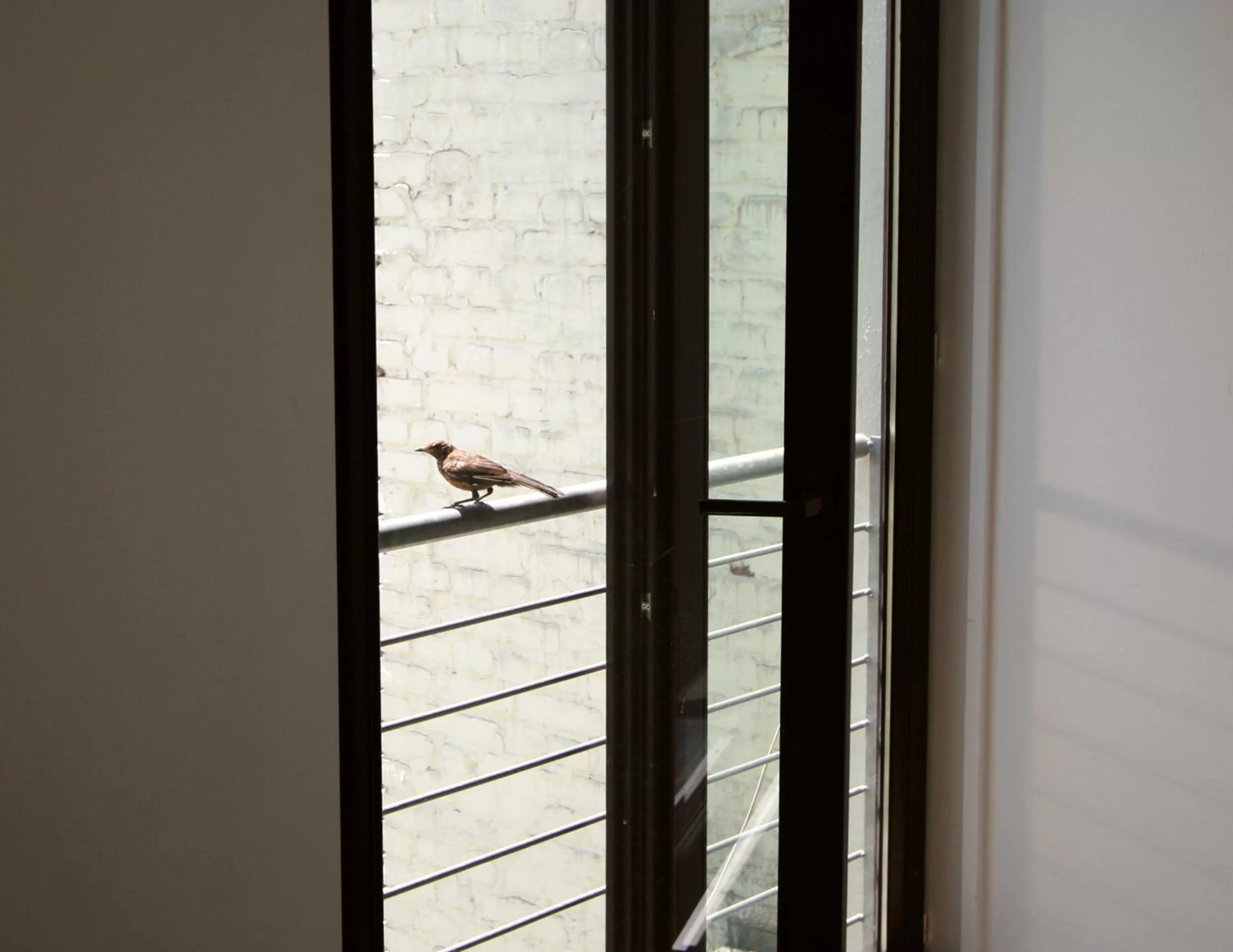 Area and facilities in Chelsea Hotel