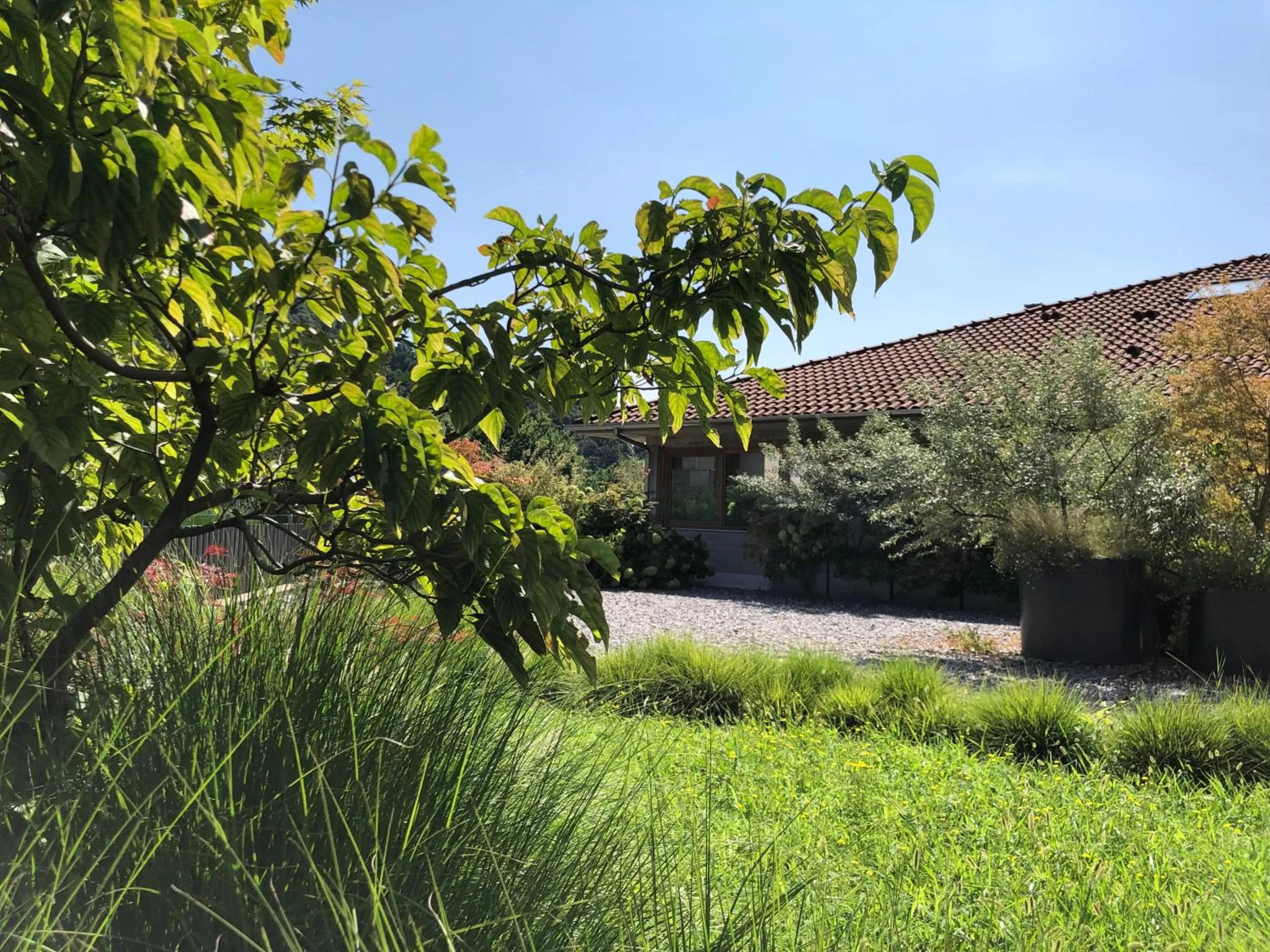 View (from property/room) in Aldeia Bianca Village
