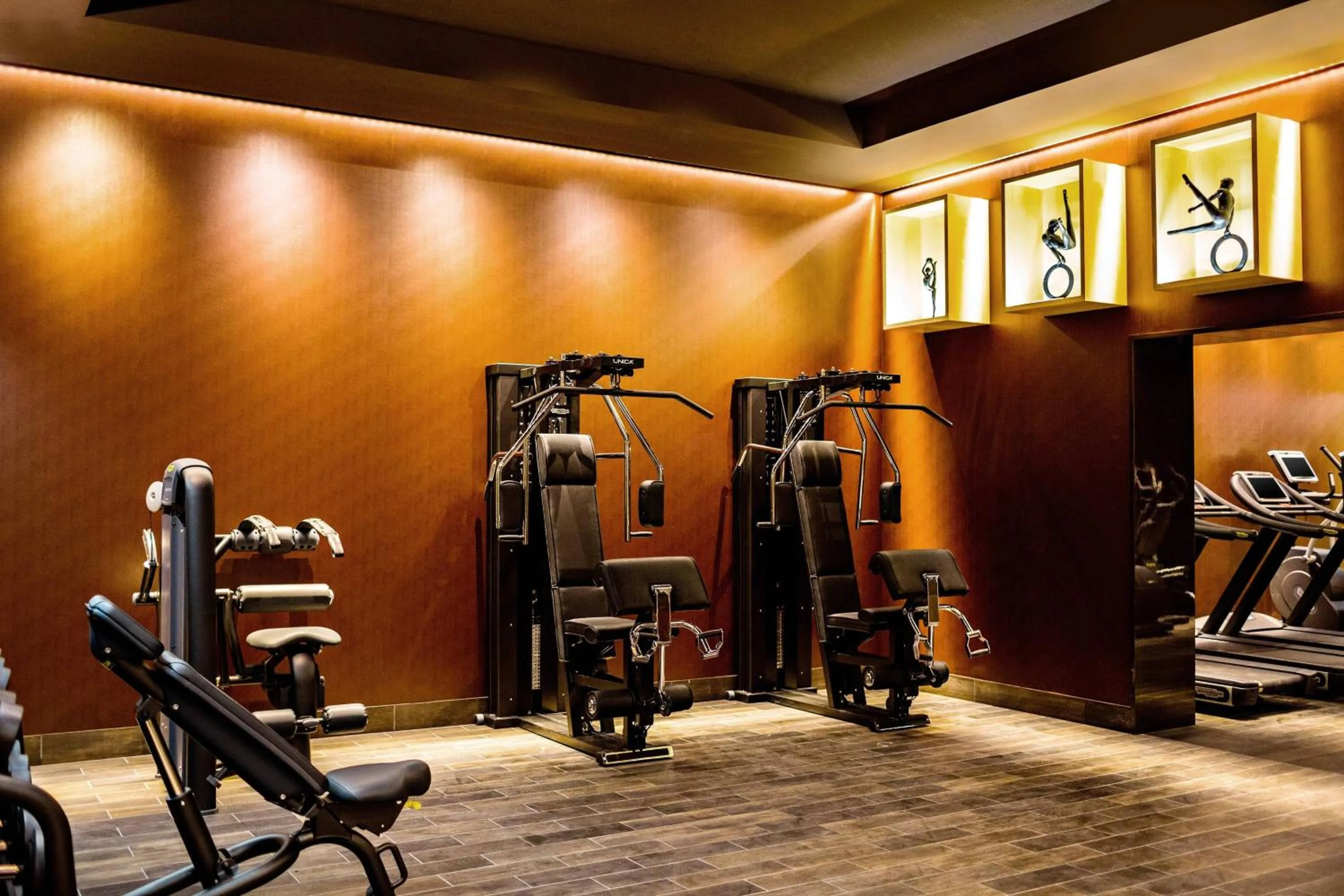 Fitness centre/facilities in Prince de Galles, a Luxury Collection hotel, Paris